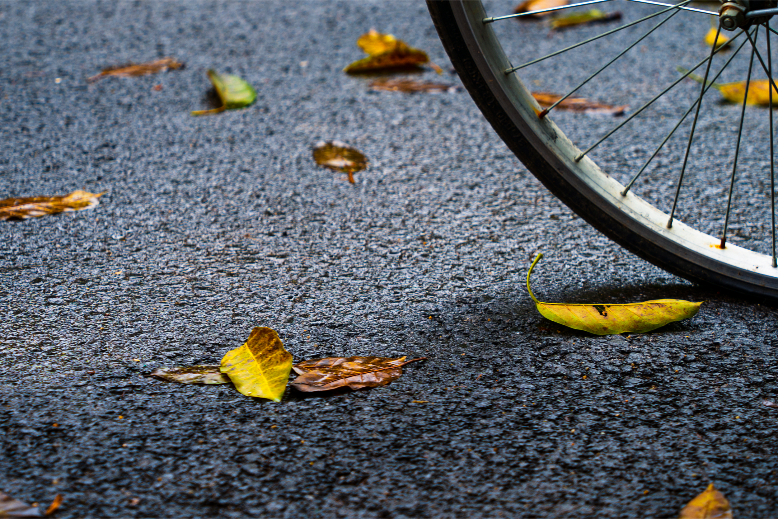 mmexport1673496546076_edit_836295193573431 2.PNG