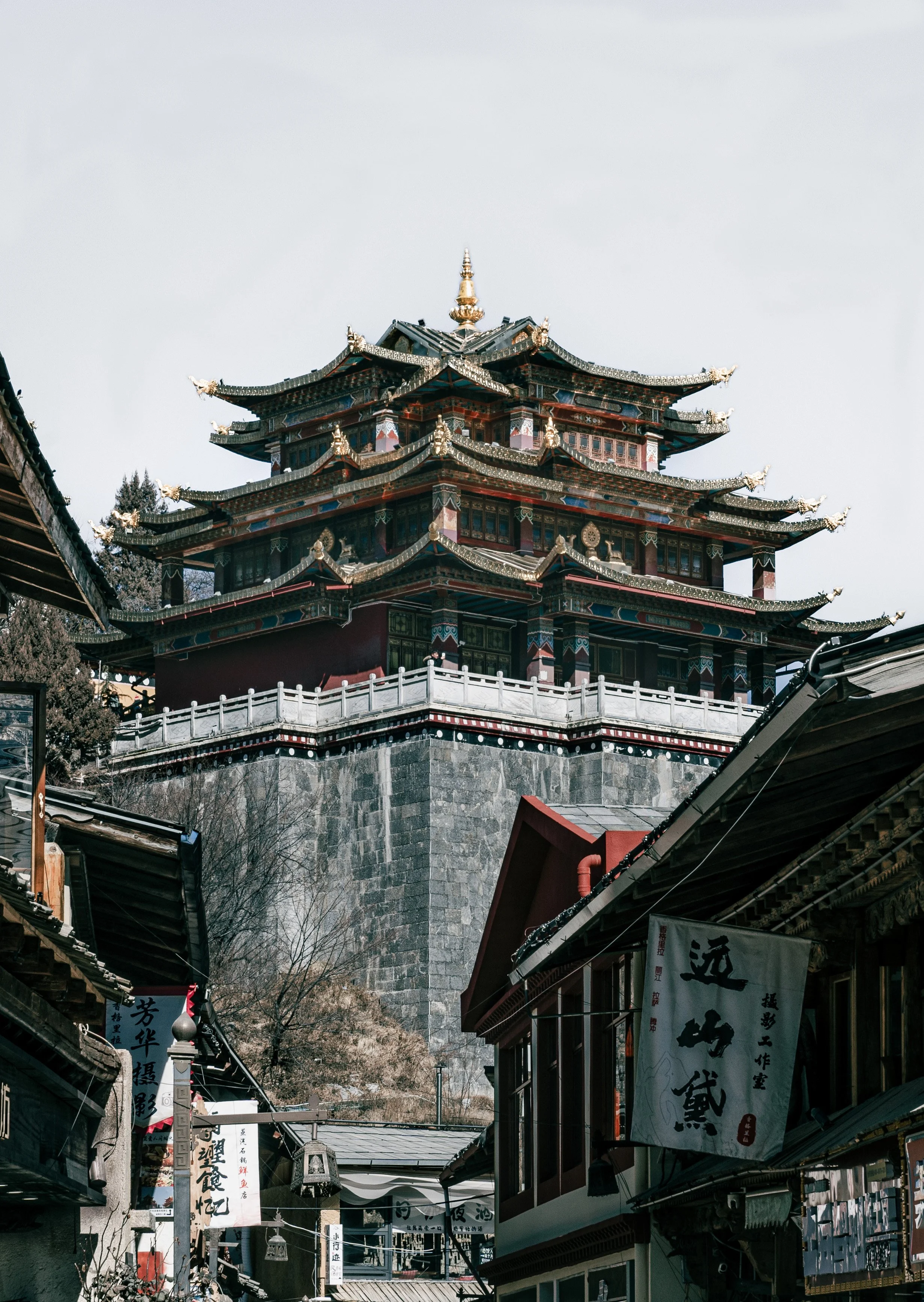 _DSC80911.jpg