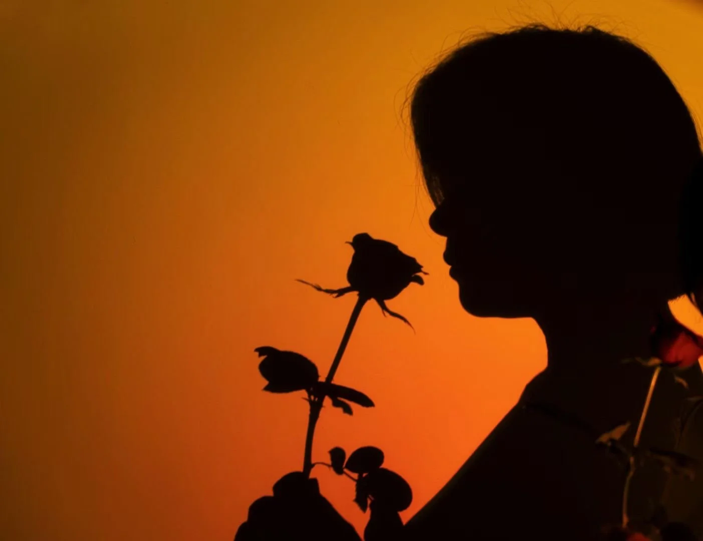 cfde93f4a0c3653613d12c42f1991697 2.JPG