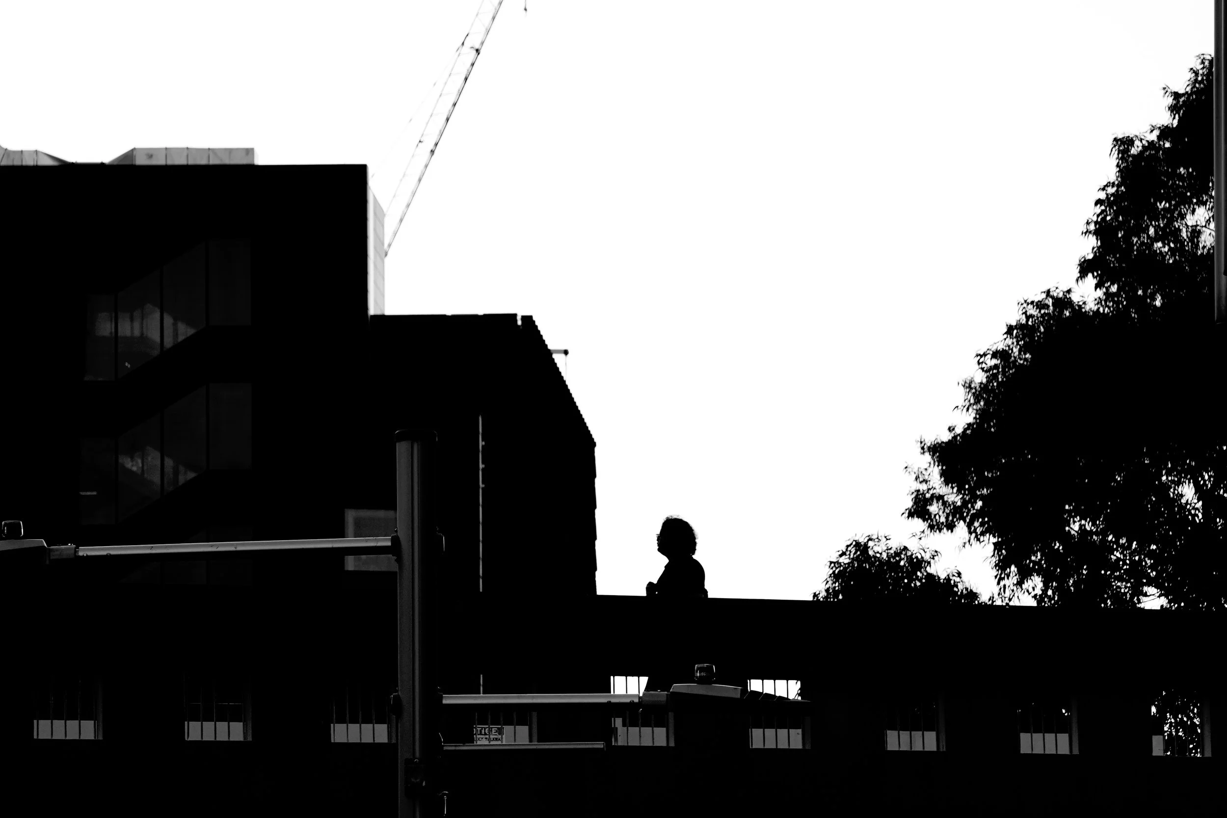 Silhouette of a child standing on a rooftop with trees and a building in the background, in black and white.