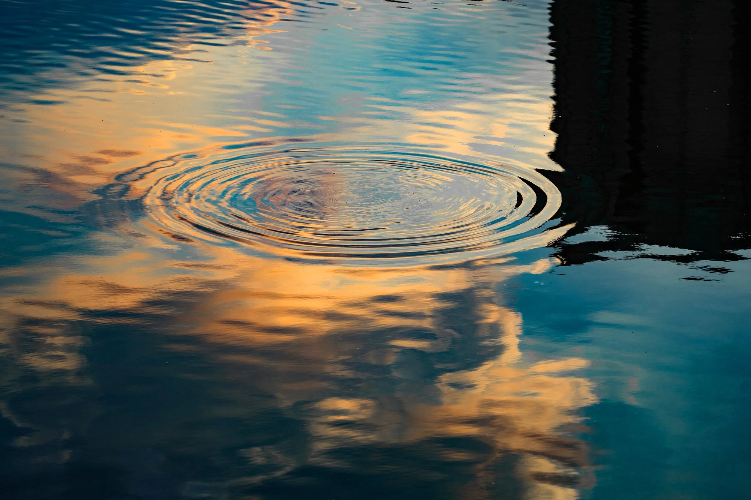 retouch_2024100623034438 2.JPG