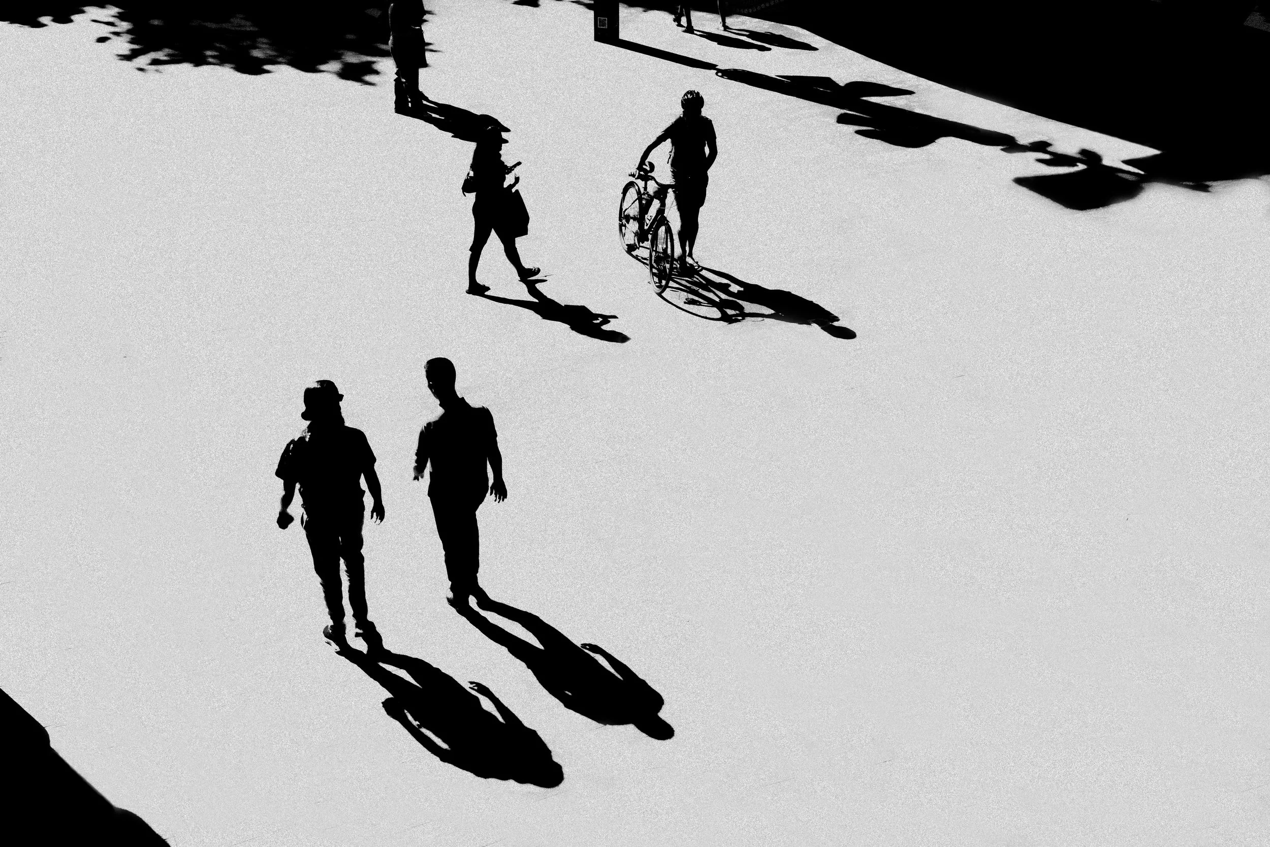 Canvas of Light & Shadow.jpg