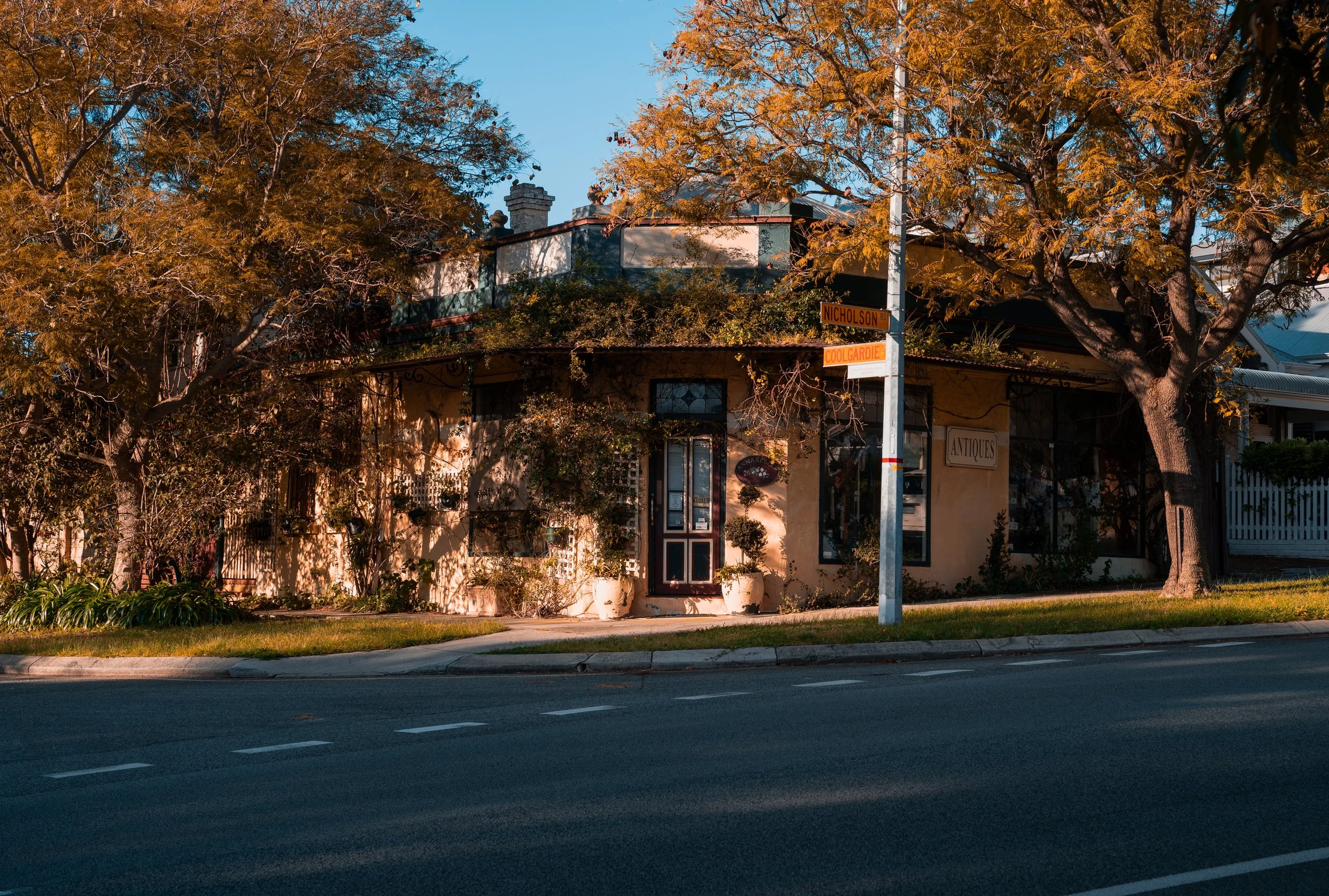 A two-story house with a yellowish exterior, surrounded by trees and plants, located on the corner of Nickelson Road and Coolgardie Street, with a street sign and a sidewalk, during daylight hours.