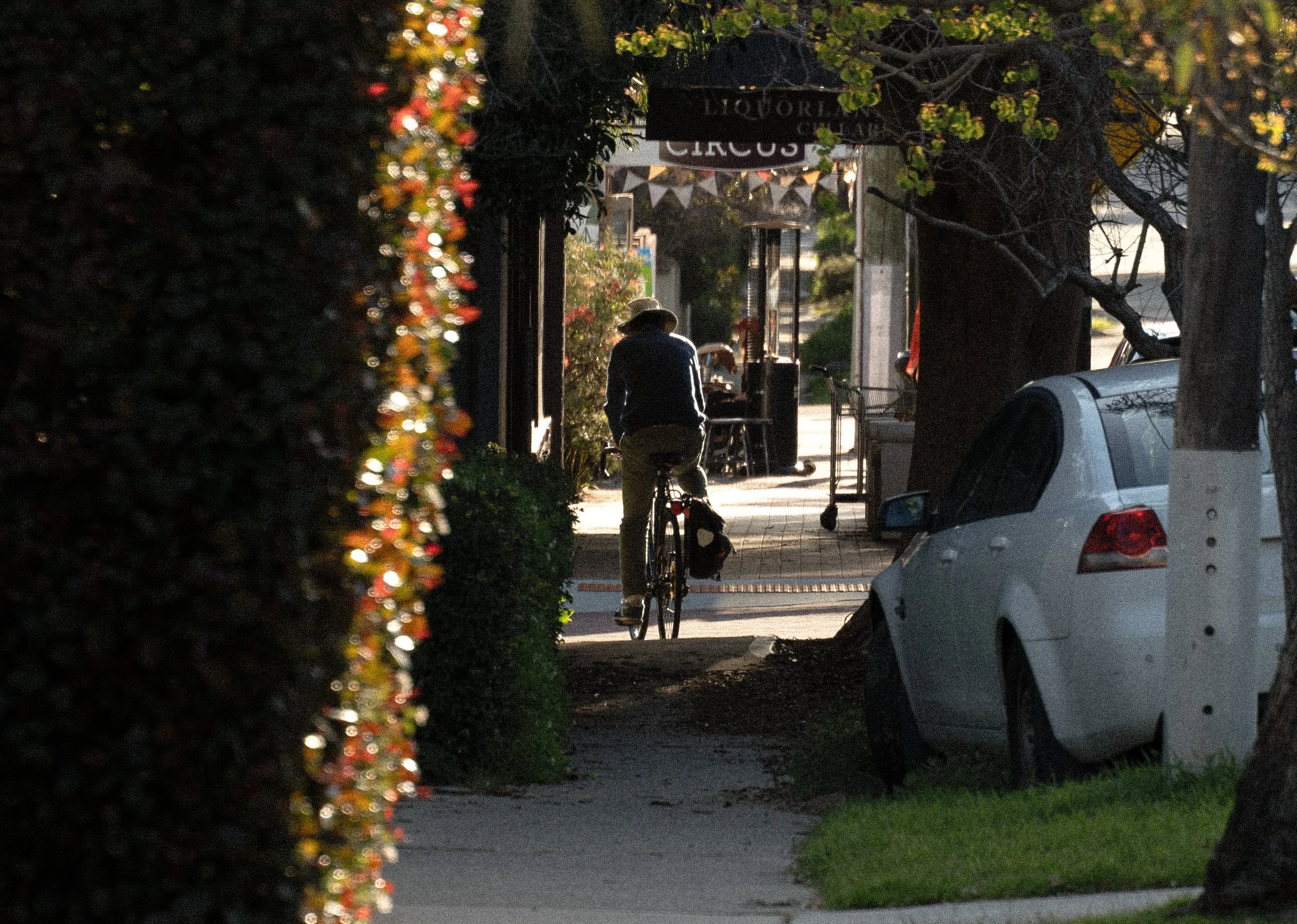 A person riding a bicycle down a quiet sidewalk lined with trees and parked cars, with a storefront and shops visible in the background.