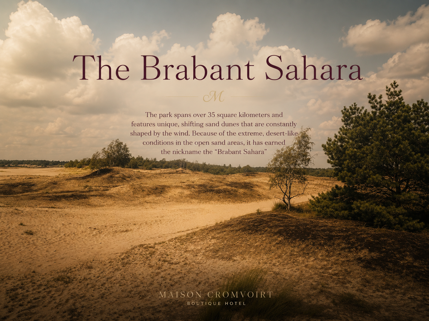 The Brabant Sahara