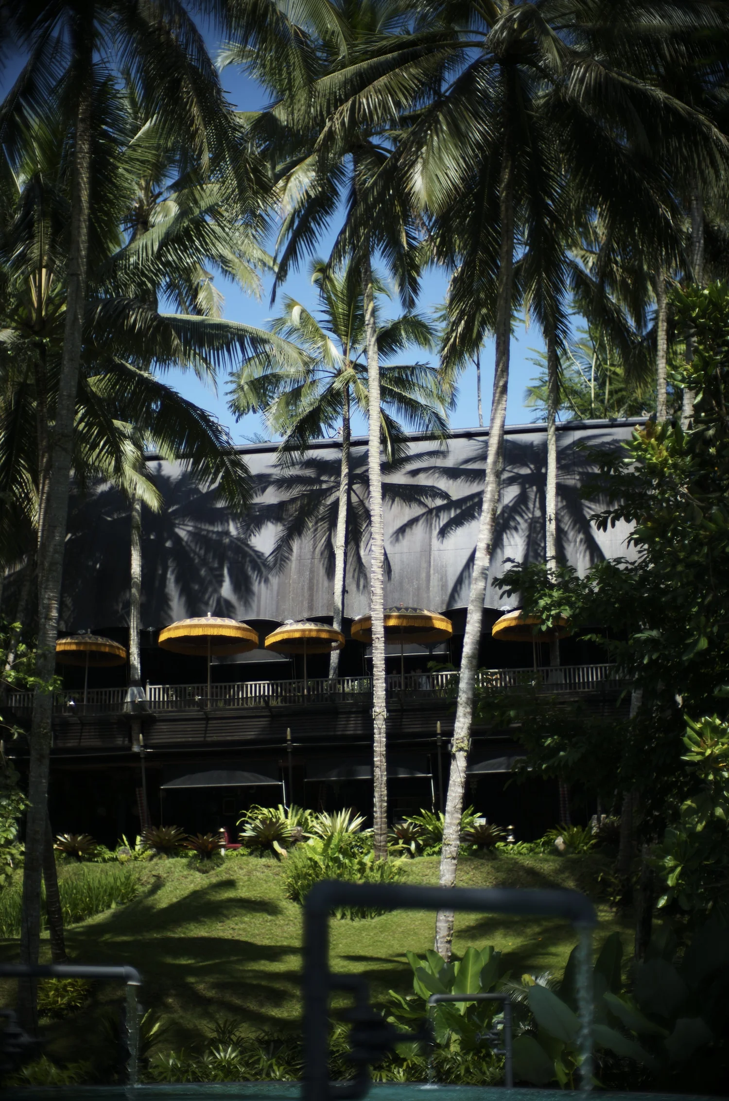 Luxury hotel photography at Capella Ubud, Bali — tropical resort architecture surrounded by lush jungle canopy