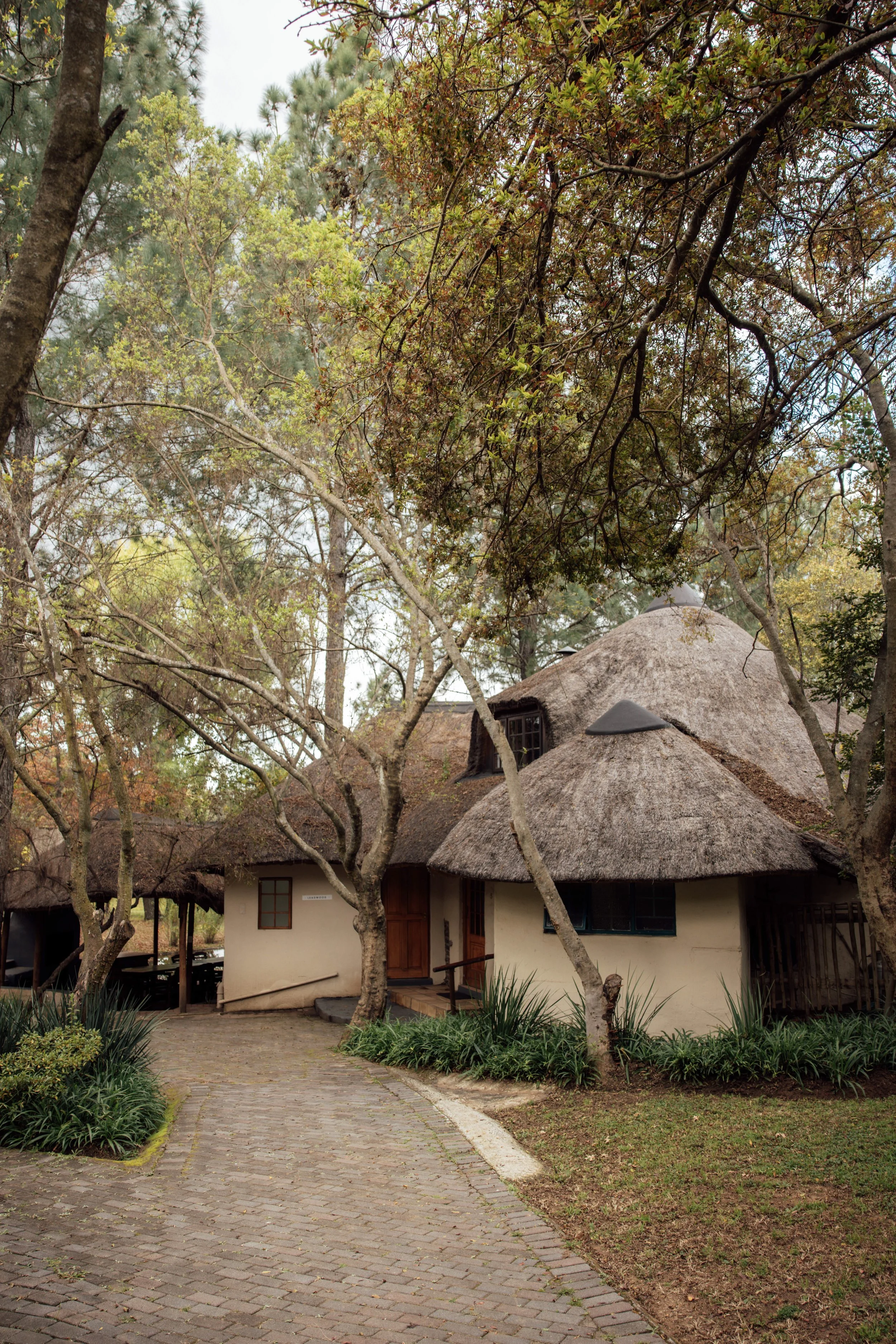Pinewood Cottage Accommodation