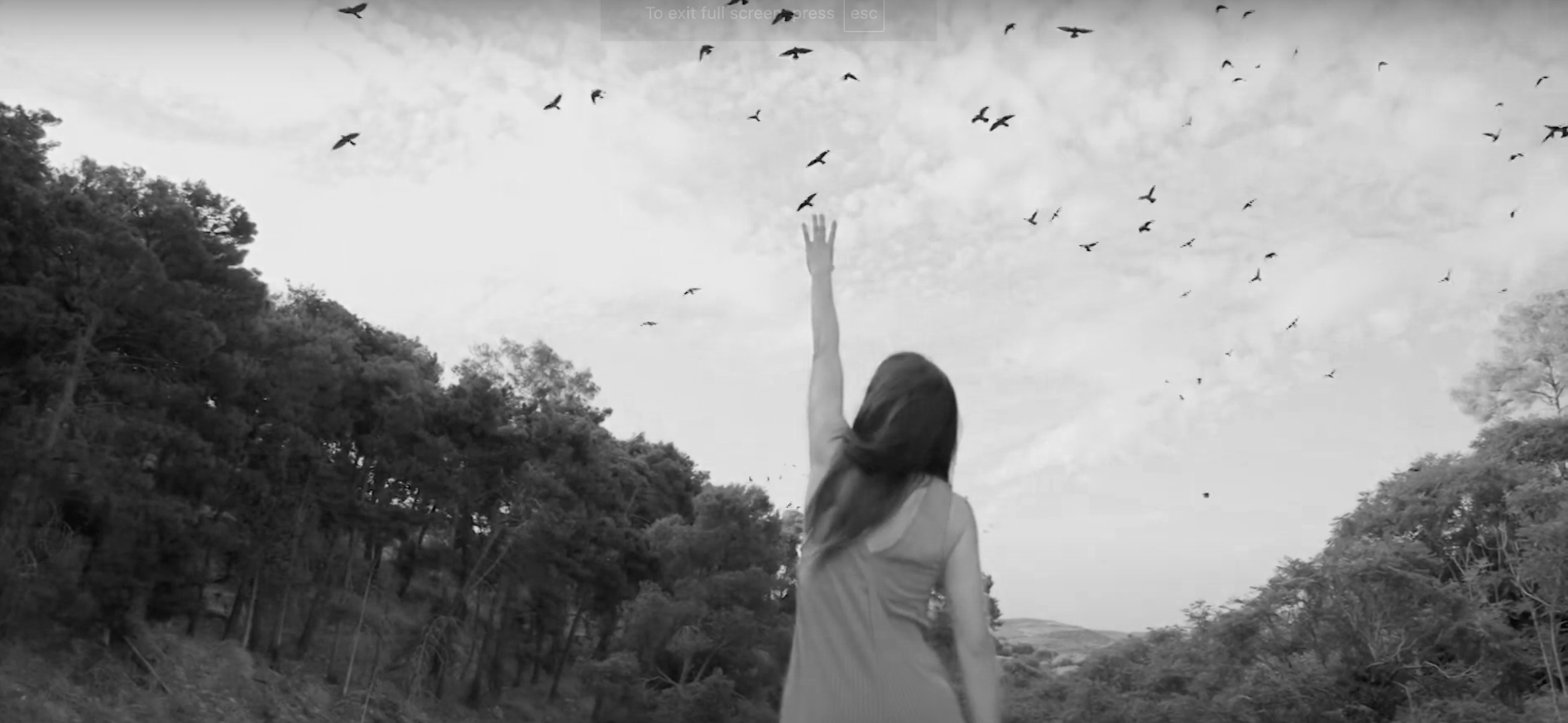 Erofili - Score, short film, supported by Heraklion Arts & Culture