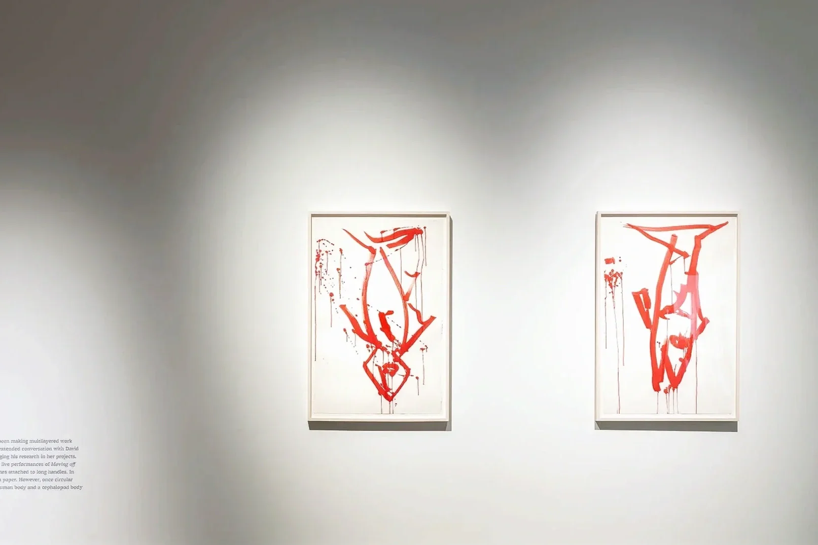 Two gestural works on paper by Joan Jonas with red brushstrokes on white backgrounds, displayed side by side in a museum with white walls