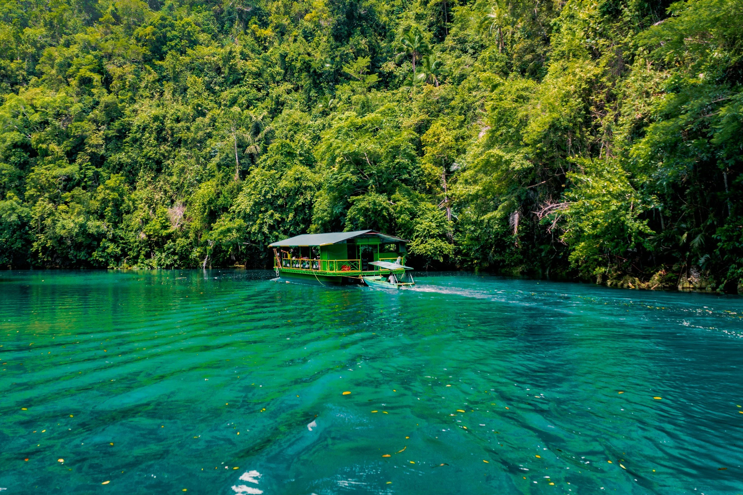 A boat with a roof glides across clear turquoise water near a lush green jungle shoreline.