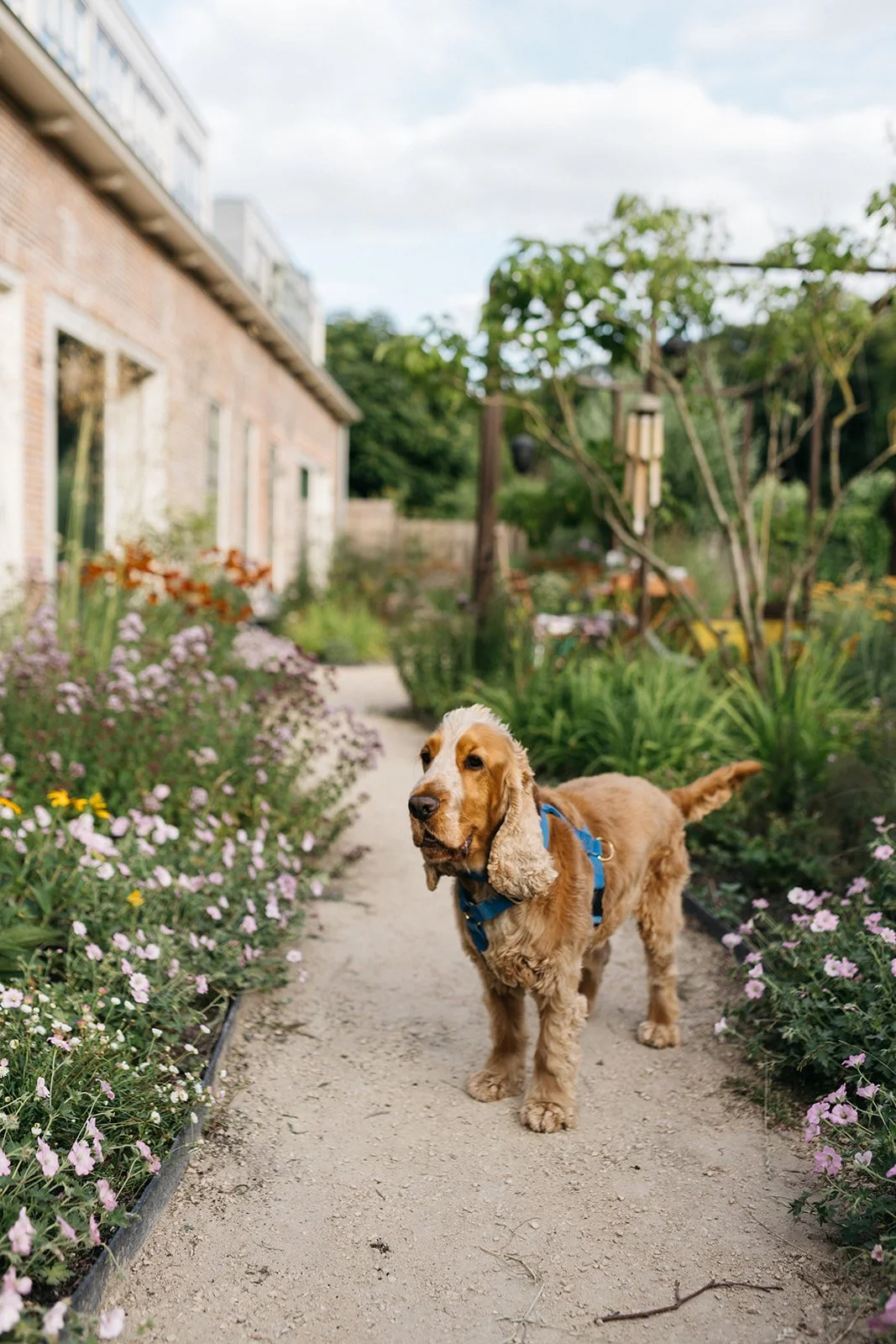 Warmond dilys_-78.jpg