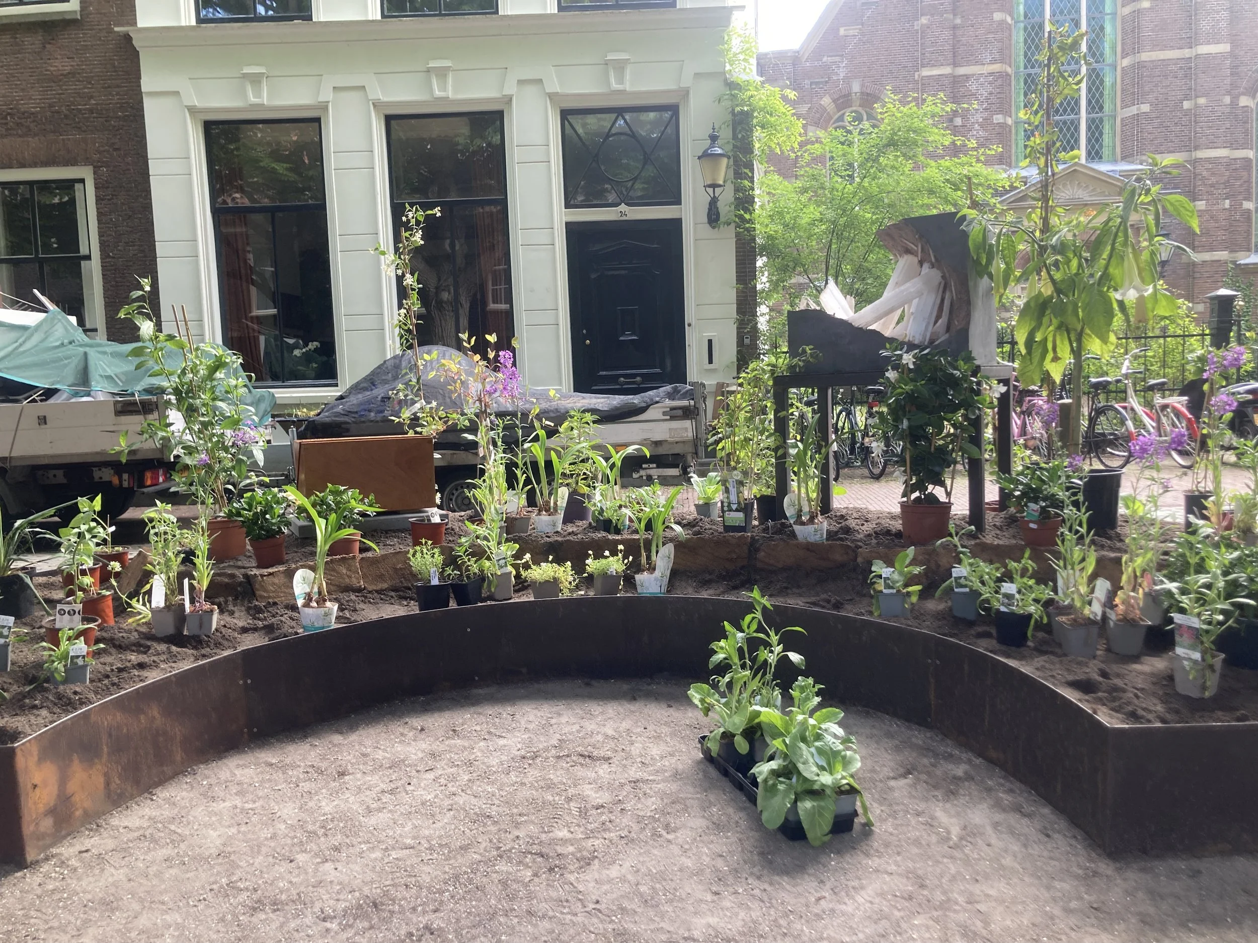 Wat bloeit er in het donker? IMG_5838.jpeg