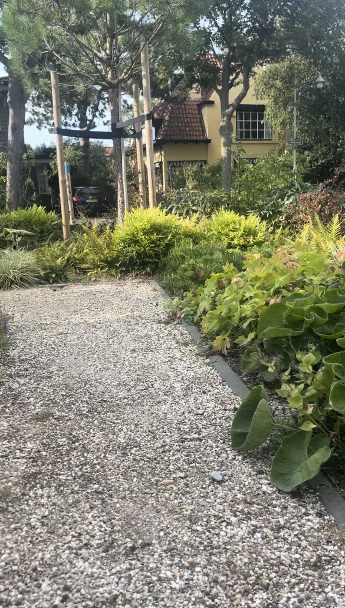 Duintuin IMG_0632.jpeg