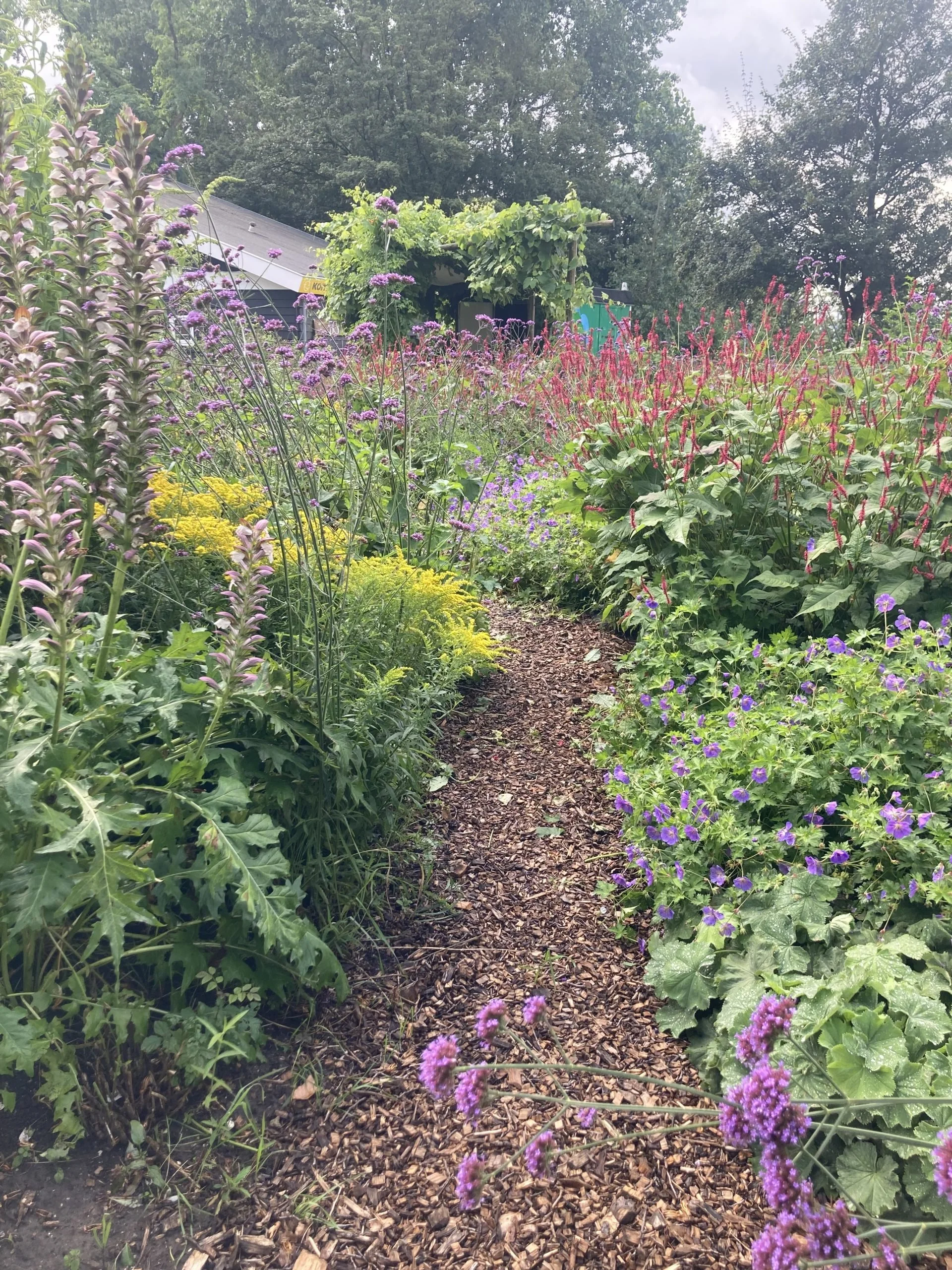 Maastuin IMG_2671-scaled.jpeg