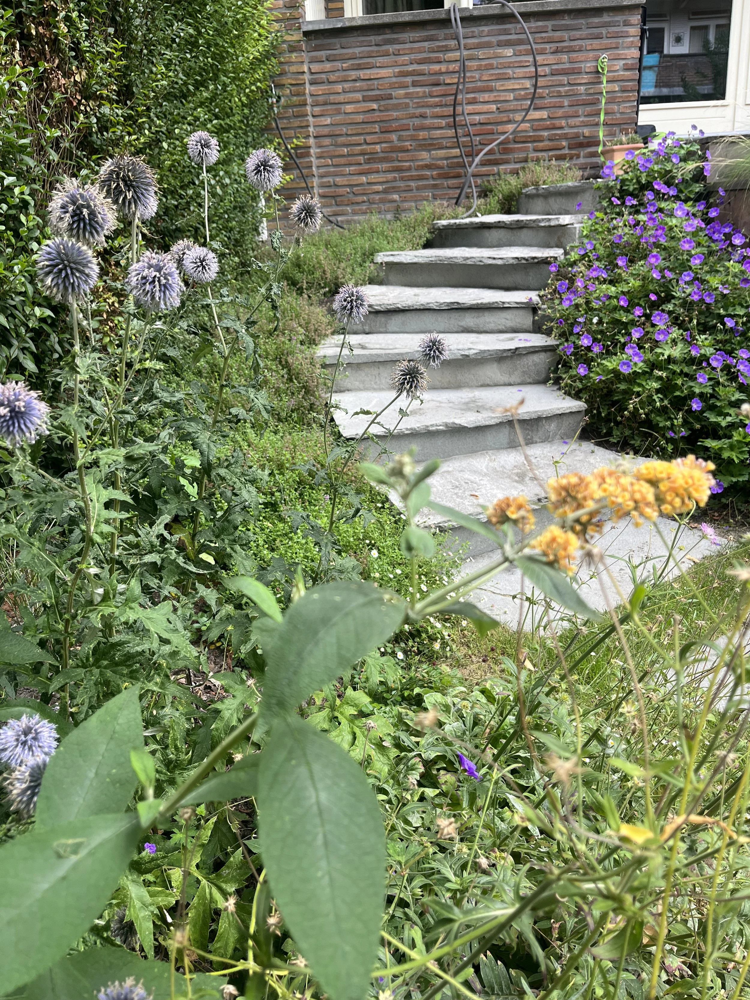 IMG_2187.jpeg