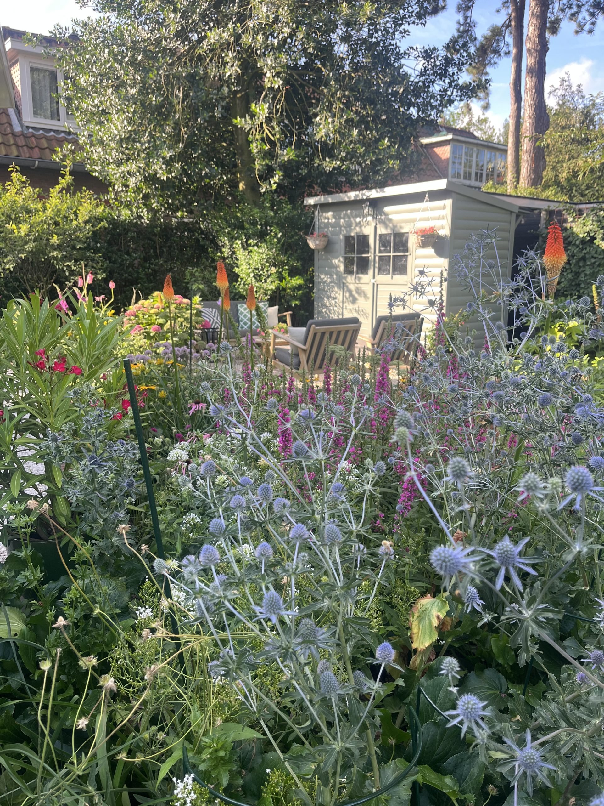 Kleurrijke familietuinIMG_1484-scaled.jpeg