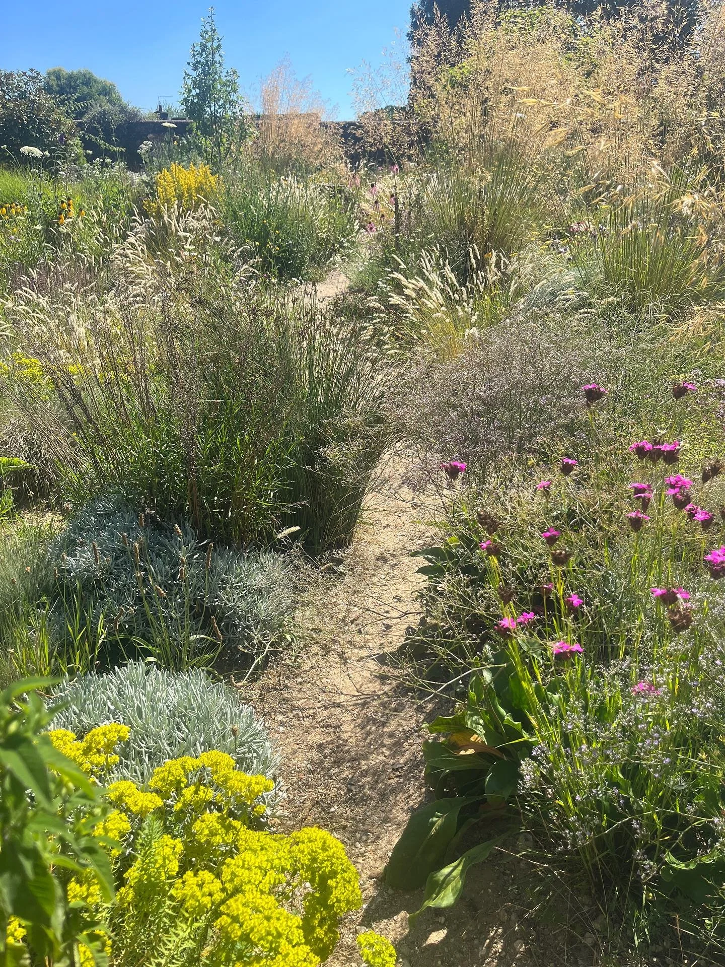 ✨Gardentours✨tijdens deze stormachtige dagen, droom ik alvast van de mooie plannen voor aankomend jaar! Ik heb wel 3 reizen mogen samenstellen voor @gardentours! En ik bevind me in goed gezelschap. Bij alle reizen gaat er een expert mee op reis. Dat 