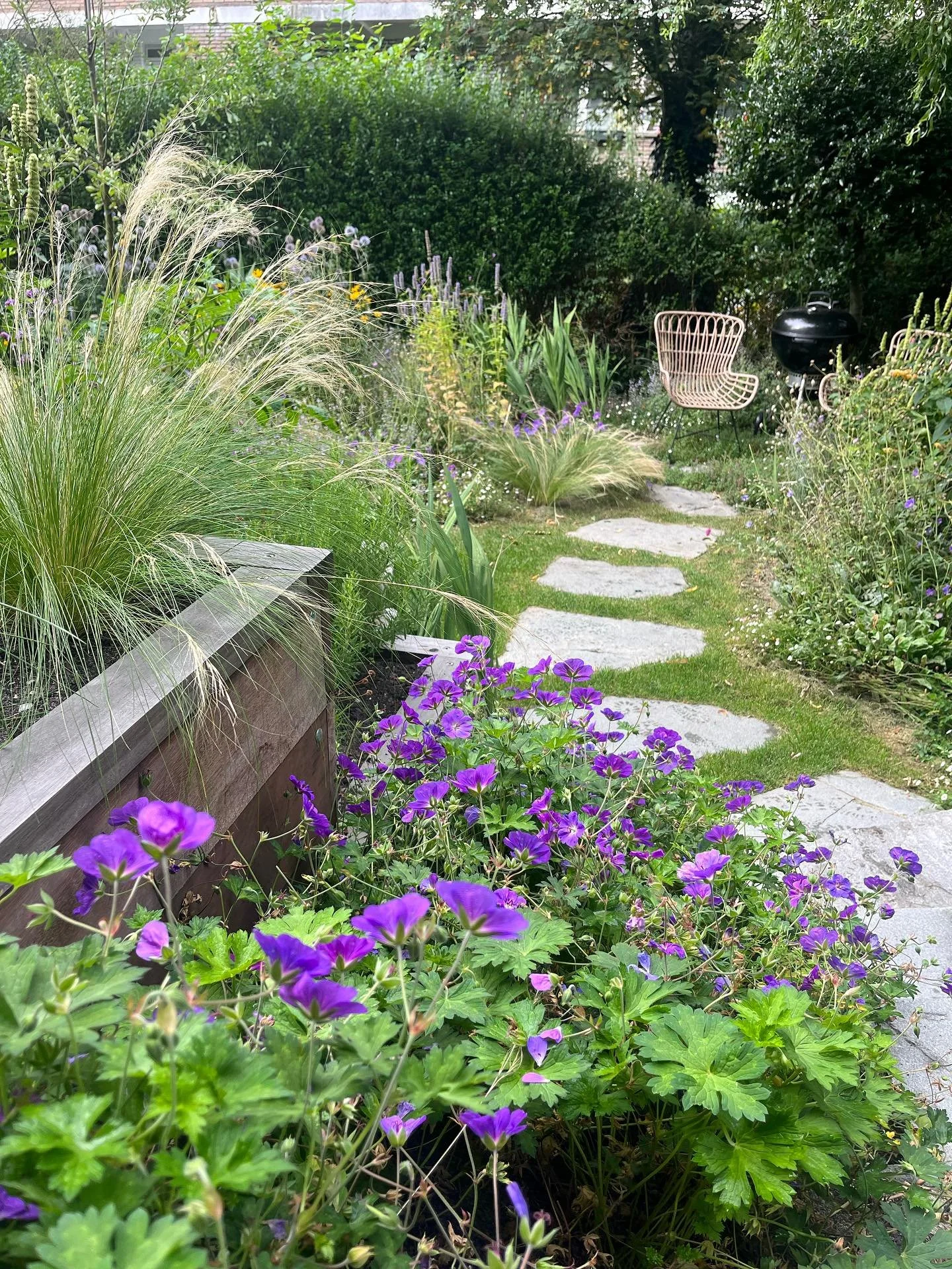 ✨wild &amp; wilder✨ What can you do with an 11x8 garden? Take a look at this project in The Hague. Planting was completed in October 2024 and the result in August 2025. Here's a beautiful example of how to accommodate height differences with planters