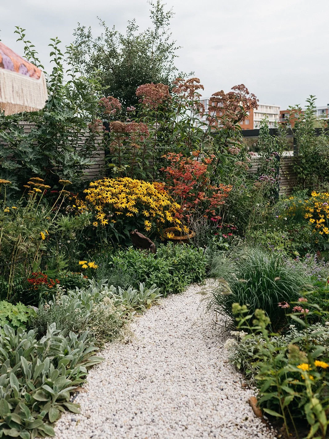 ✨help me choose✨ een andere prachtige serie 📸 van @jeannine_rijsdijk van een project uit 2022. Welke foto spreekt jouw het meeste aan? 
Fijne zomerdagen.
#garden #tuin #instagarden #summer #plant #planten #beplantingsplan #ontwerp #tuinontwerp #desi