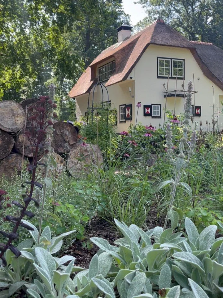 ✨fairytale garden✨A planting plan that suits the fairytale house in a wooded setting. This is the result just four months after planting.
Here I'm sharing five plants so you too can create such a magical atmosphere in your garden. This garden is situ