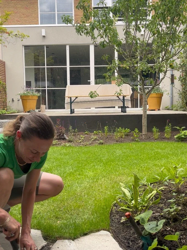 ✨urban city garden✨ Here's a project in Amsterdam; a natural garden with character. It was just completed, and I usually share projects a year later so the plants can see their growth. But today, we'll focus more on the design and materials. It's a c