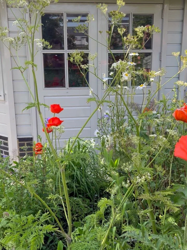 Hier zie je een van m&rsquo;n favoriete projecten ✨dreamy cottage garden ✨  in mei, juni en juli&hellip;.wat is jouw favoriete maand?