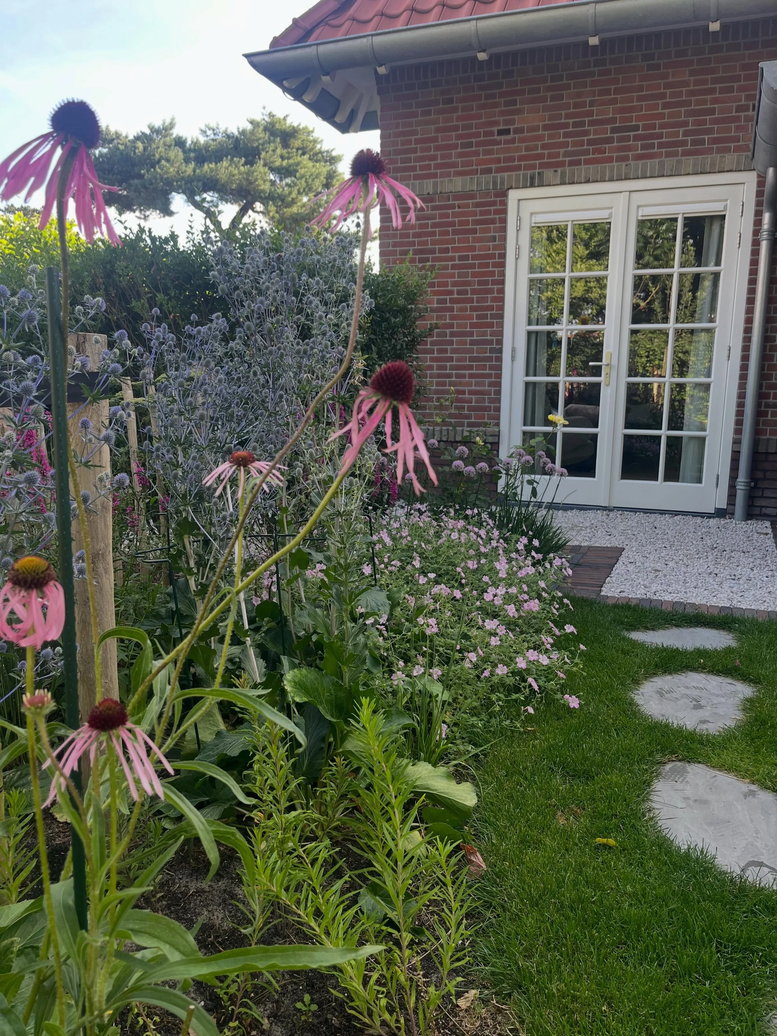 Kijk mee hoe dit project is getransformeerd van februari 2025 tot nu. De tuin bestond slechts uit een gazon en zie hier wat er gebeurt wanneer je kleurrijke beplanting en staptegels toegevoegd. Kleine ingreep, groots effect 🪄. In de fotoreportage ko