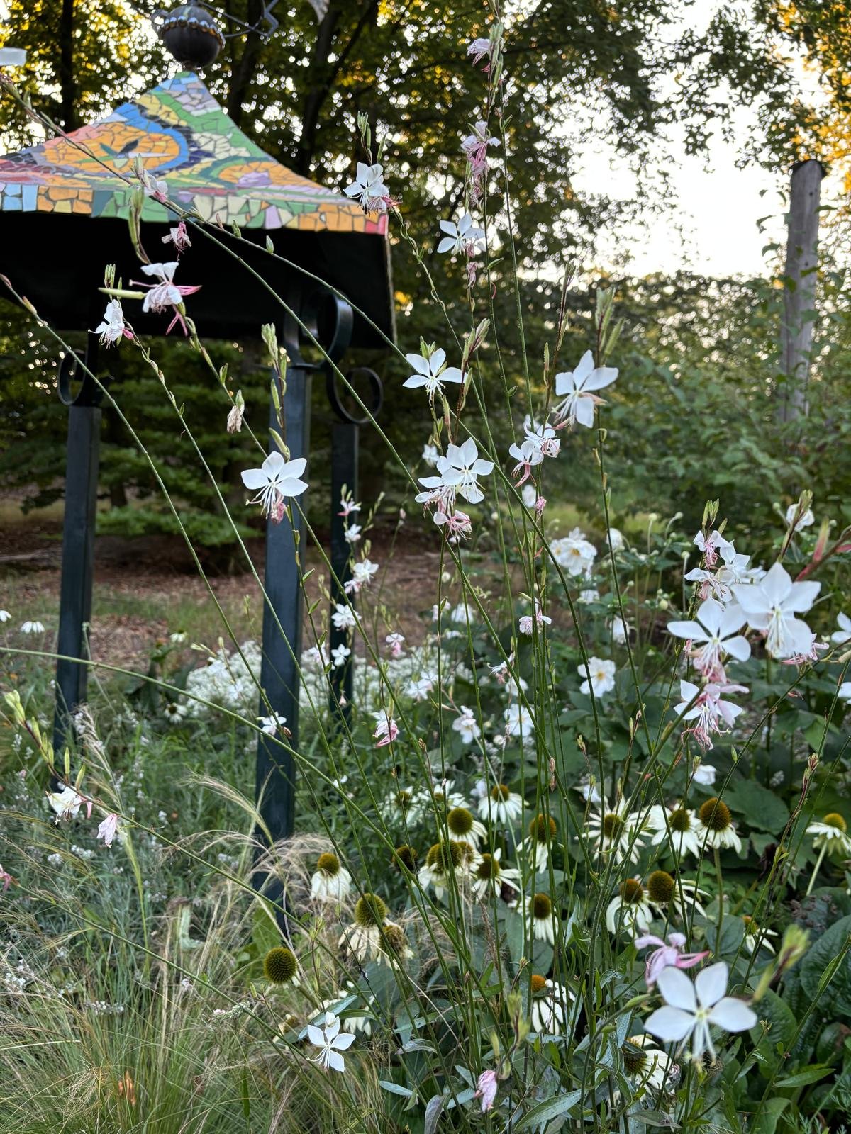 PHOTO-2025-08-24-22-47-39 2.jpg