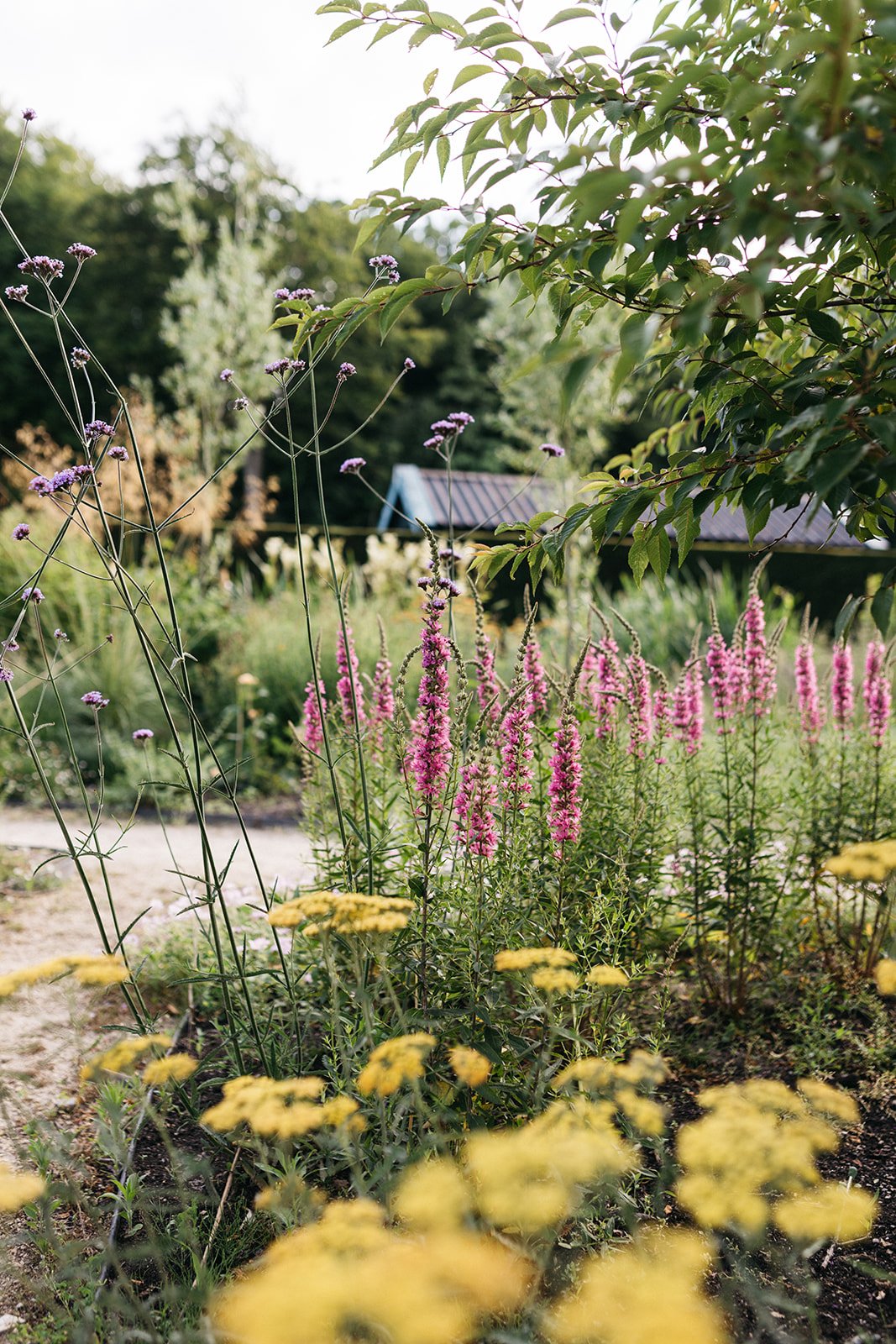 Warmond dilys_-45.jpg