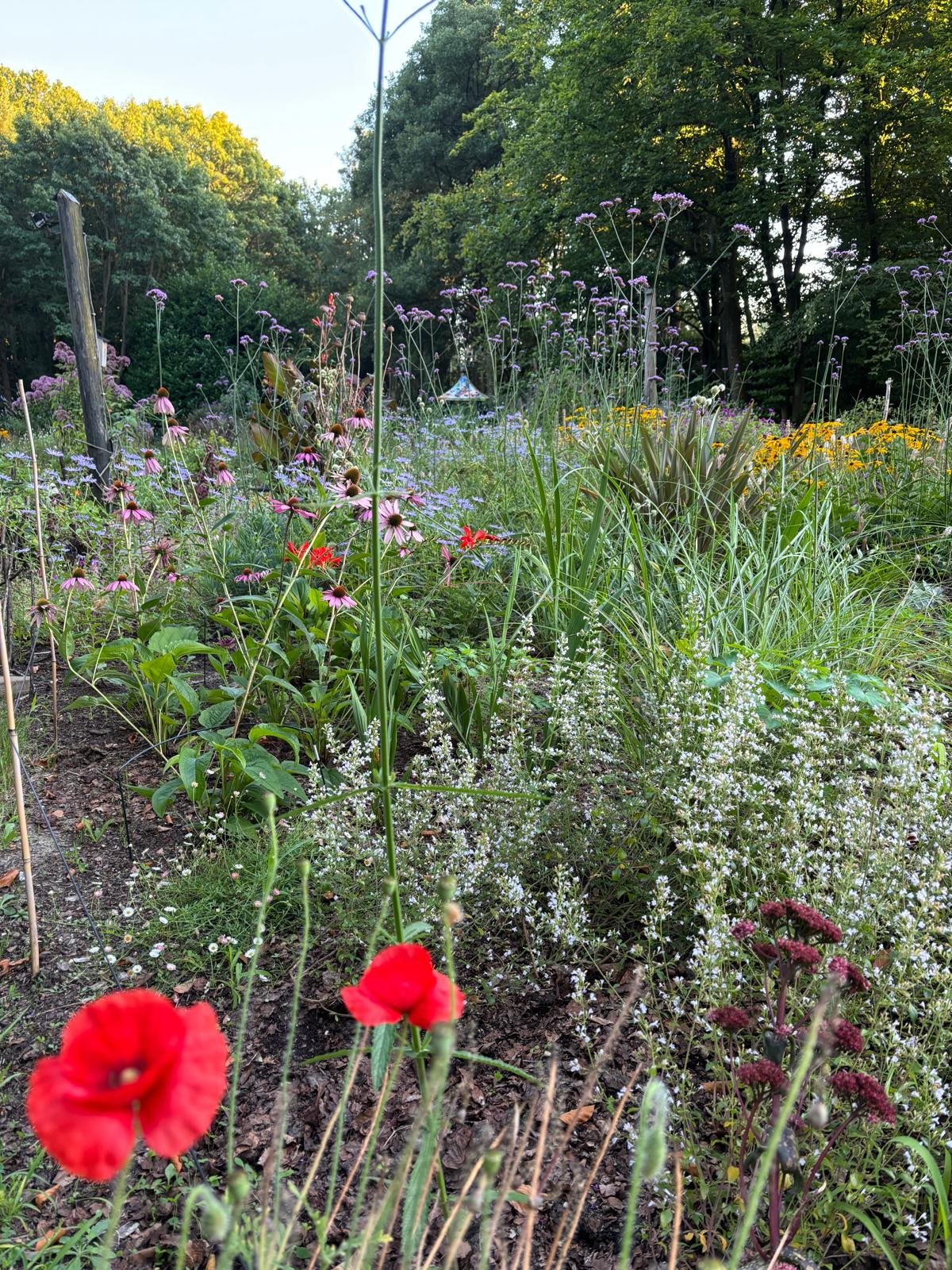 PHOTO-2025-08-24-22-47-39 5.jpg