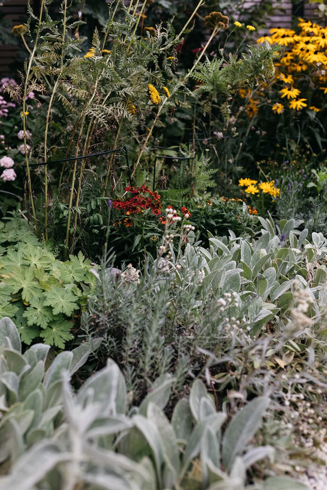 Genieten aan het water Tuin-Voorhout-jeannine-rijsdijk-3.jpg