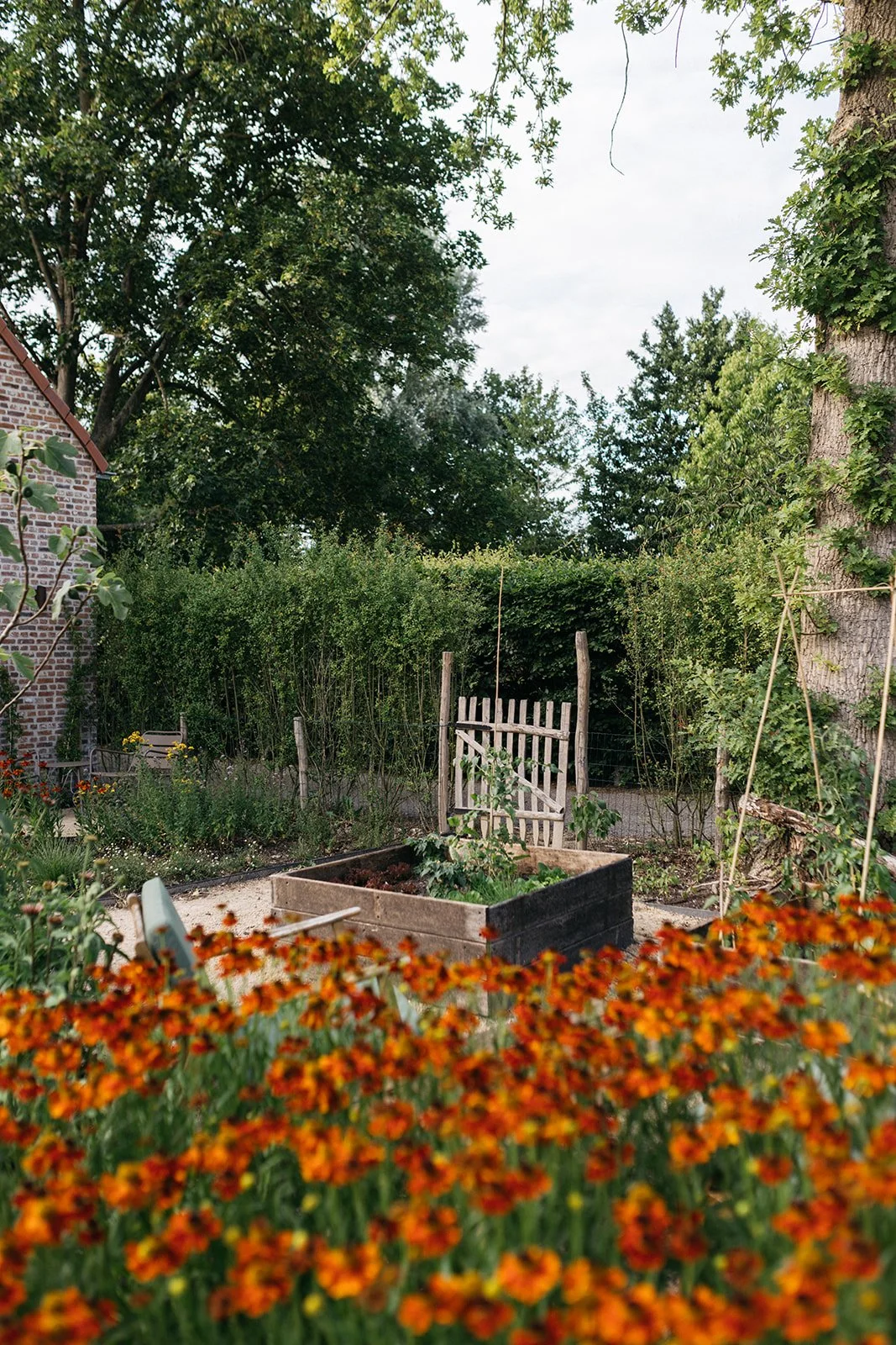 Warmond dilys_-35.jpg