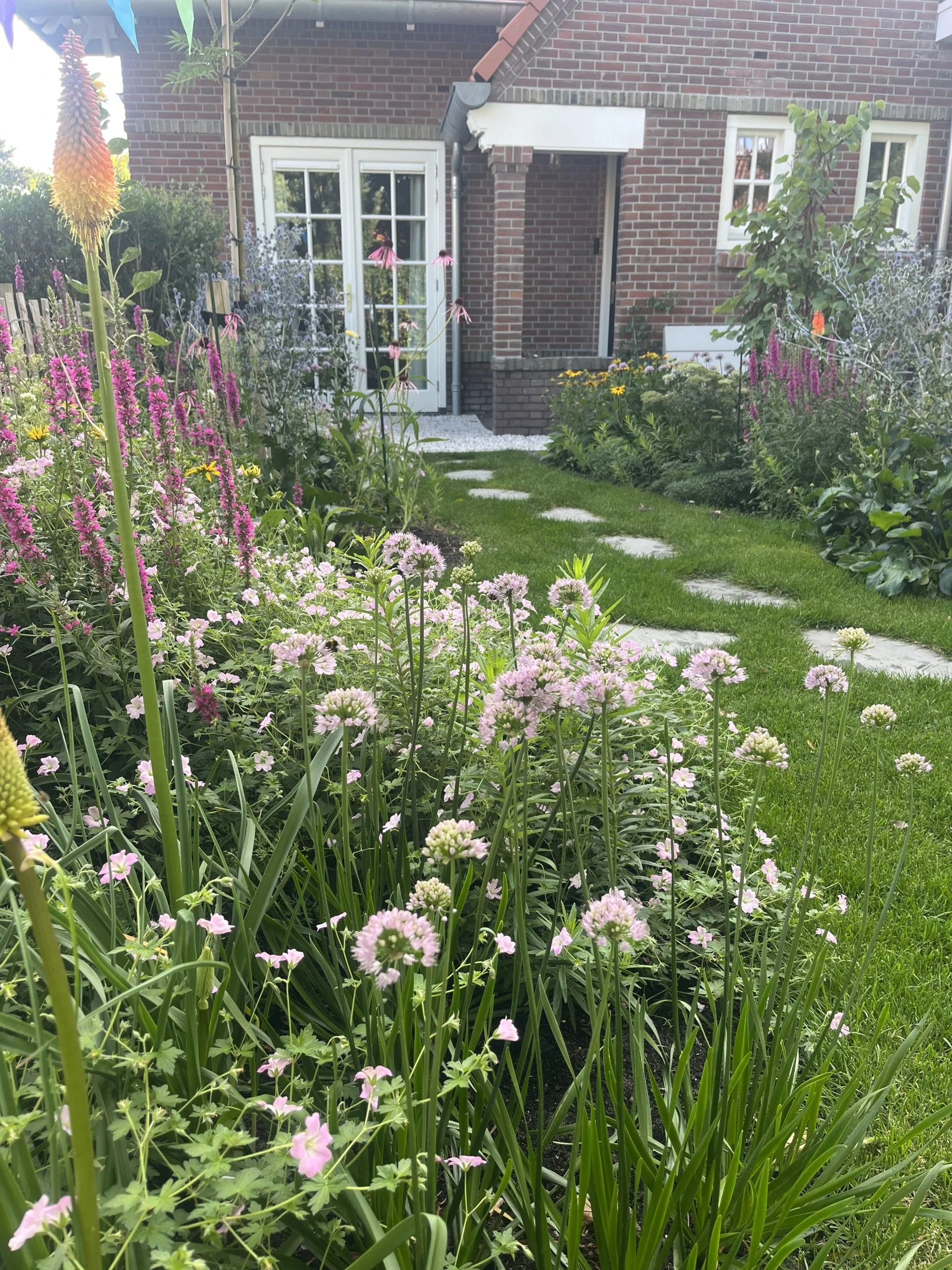 Kleurrijke familietuinIMG_1516-scaled.jpeg