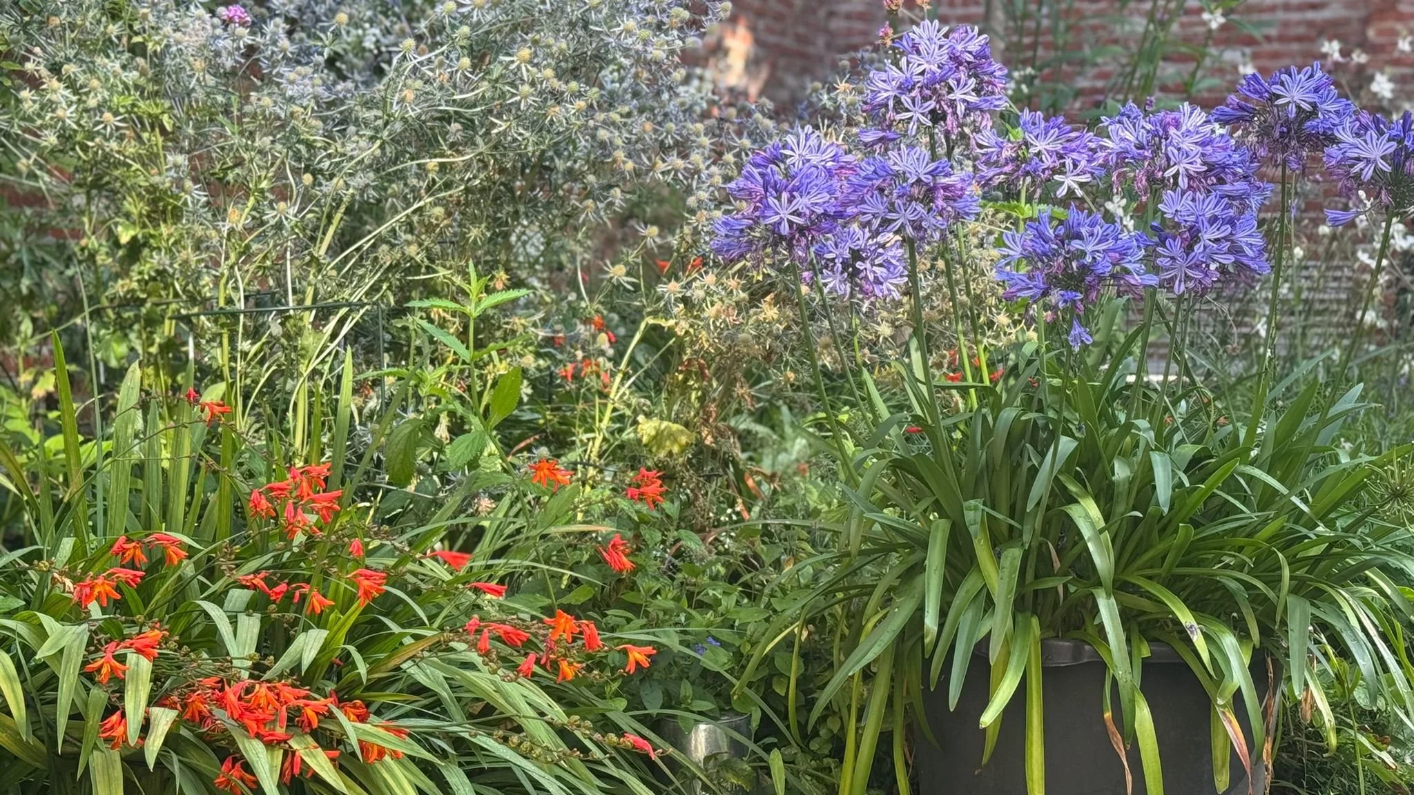 PHOTO-2025-08-10-19-33-10 3.jpg