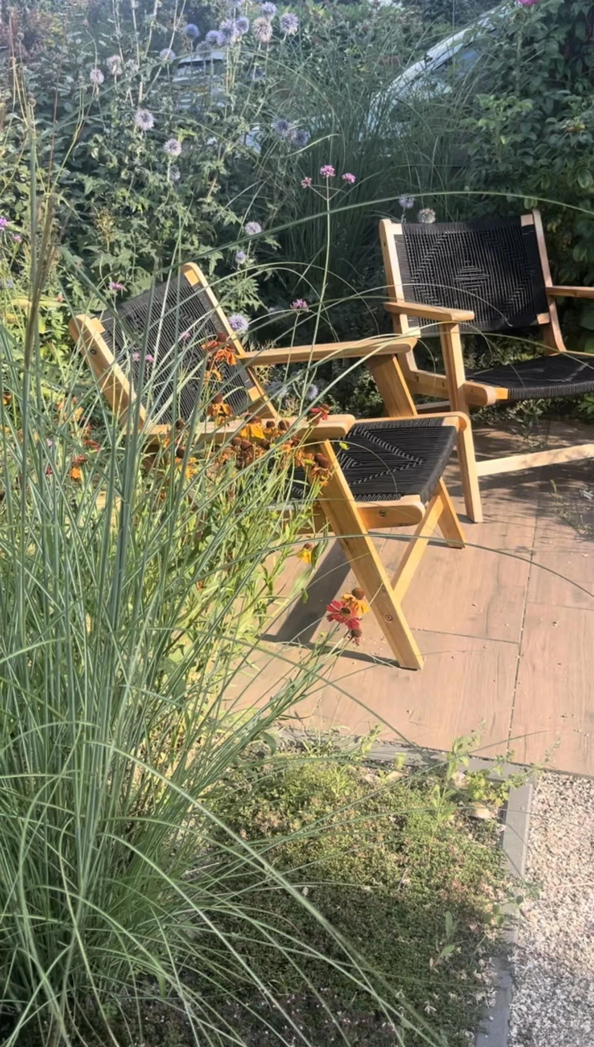 Duintuin IMG_0640.jpeg