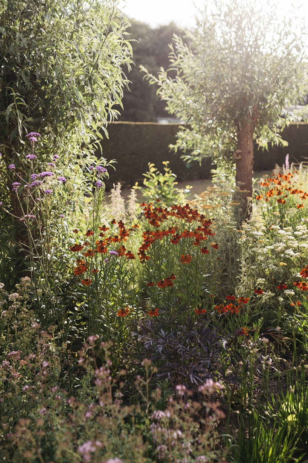 Warmond dilys_-14.jpg