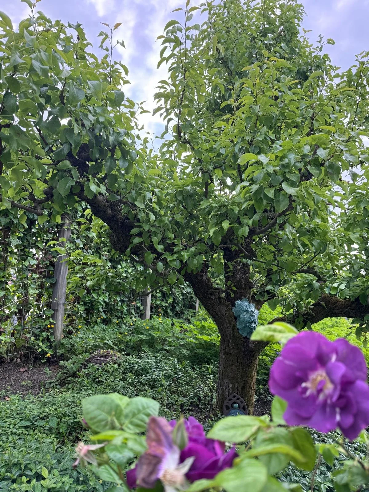 PHOTO-2025-05-31-18-43-50 3.jpg