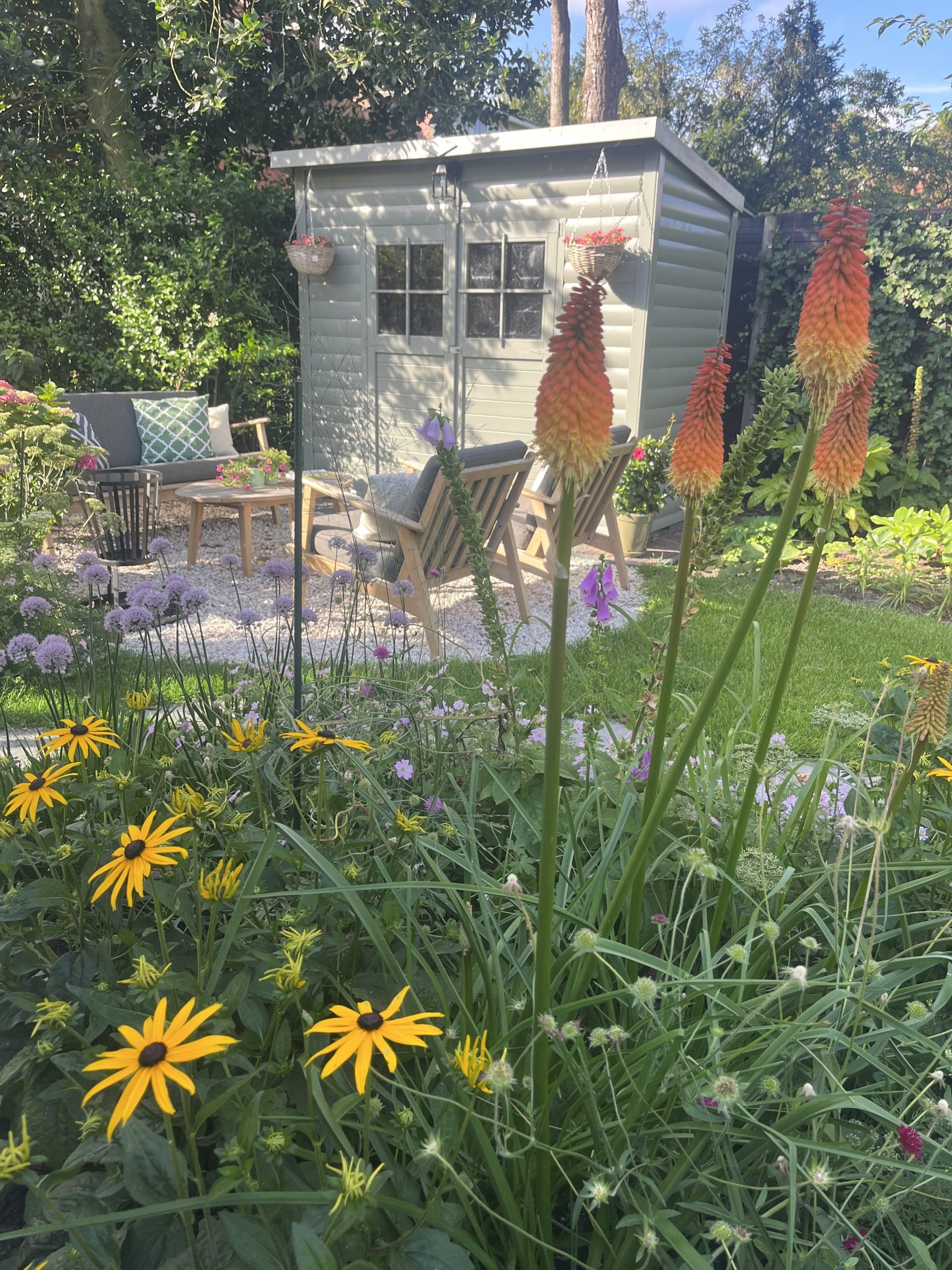 Kleurrijke familietuinIMG_1532-scaled.jpeg