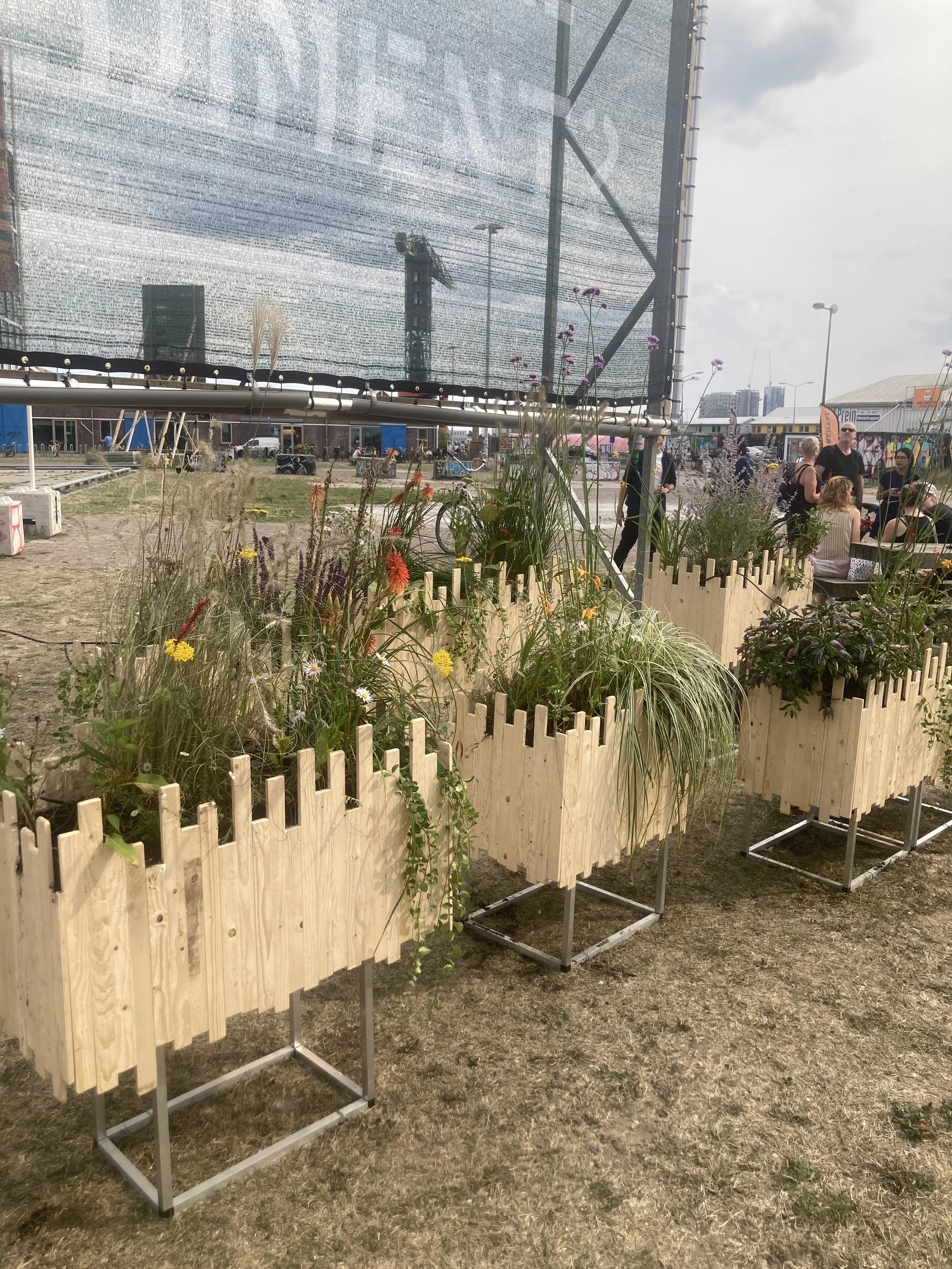 Kunstproject NDSM werf IMG_7001.jpeg