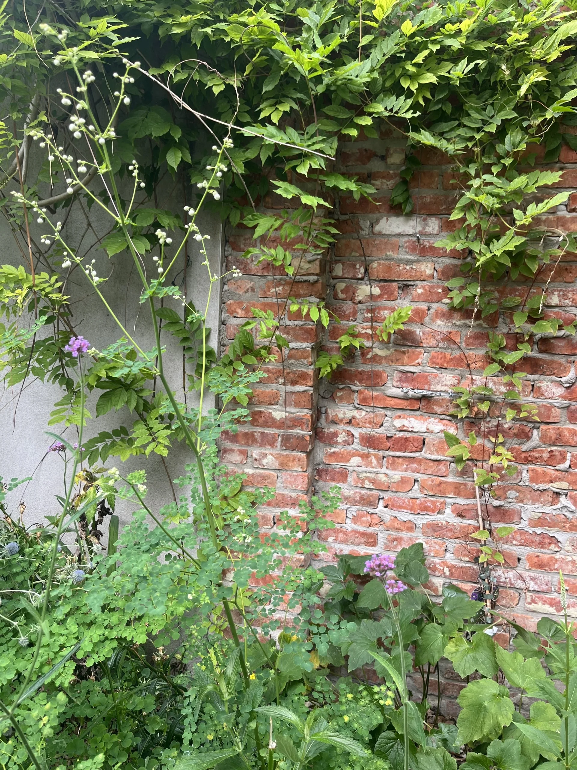 Monumentale stadstuin IMG_1236-scaled.jpeg