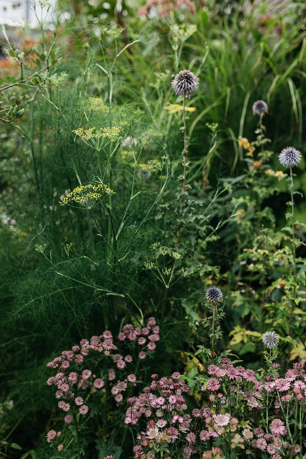 Genieten aan het water Tuin-Voorhout-jeannine-rijsdijk-21.jpg