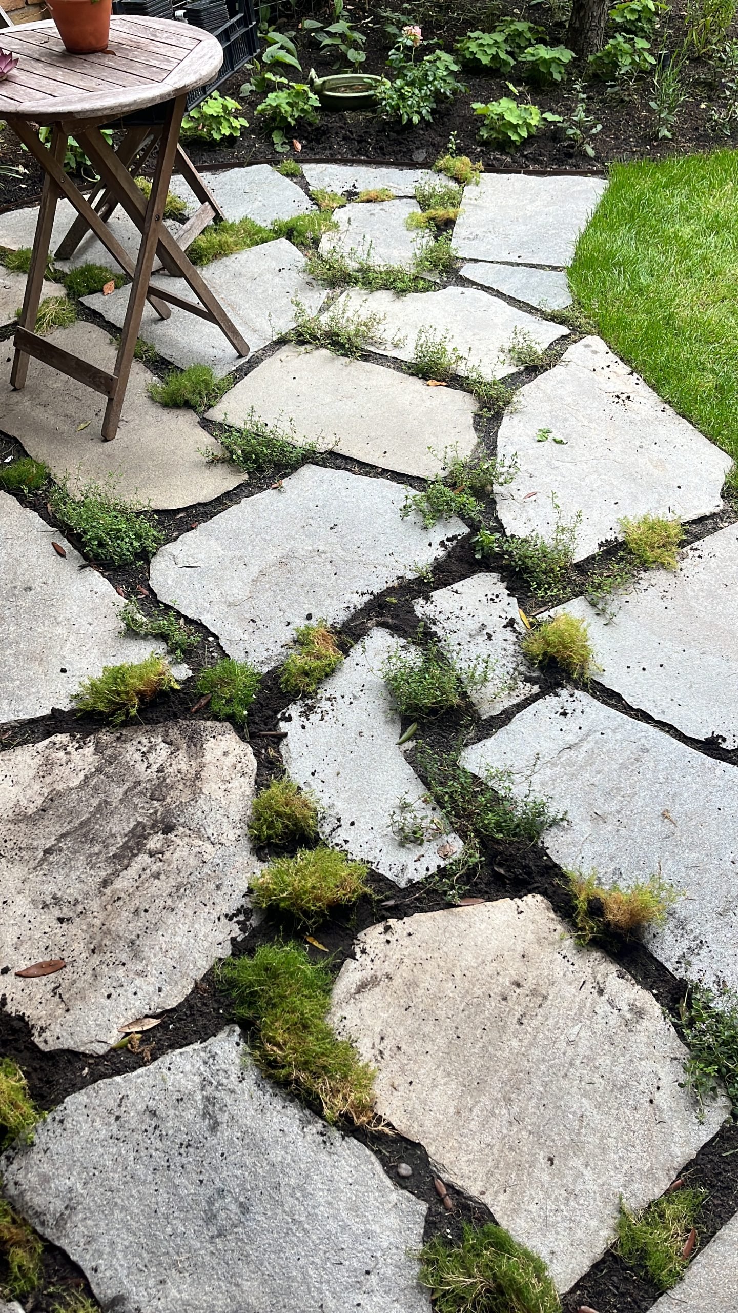 Tuin met cachet1EC401F2-CCF3-4B3D-9616-FDD86D8F25B6-scaled.jpg