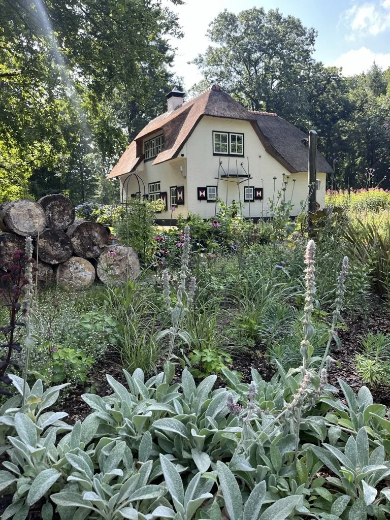 Een sprookje in het bos