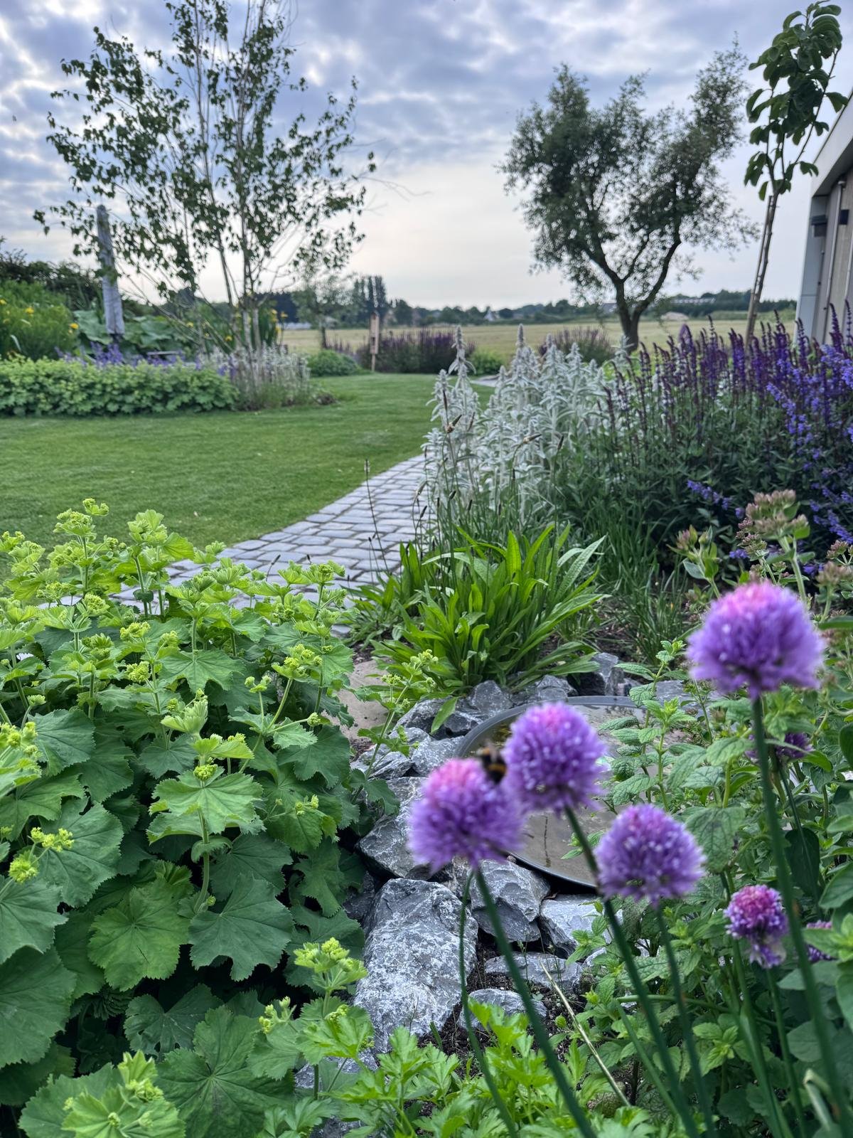 Vloeiende cottage garden met zwemvijver