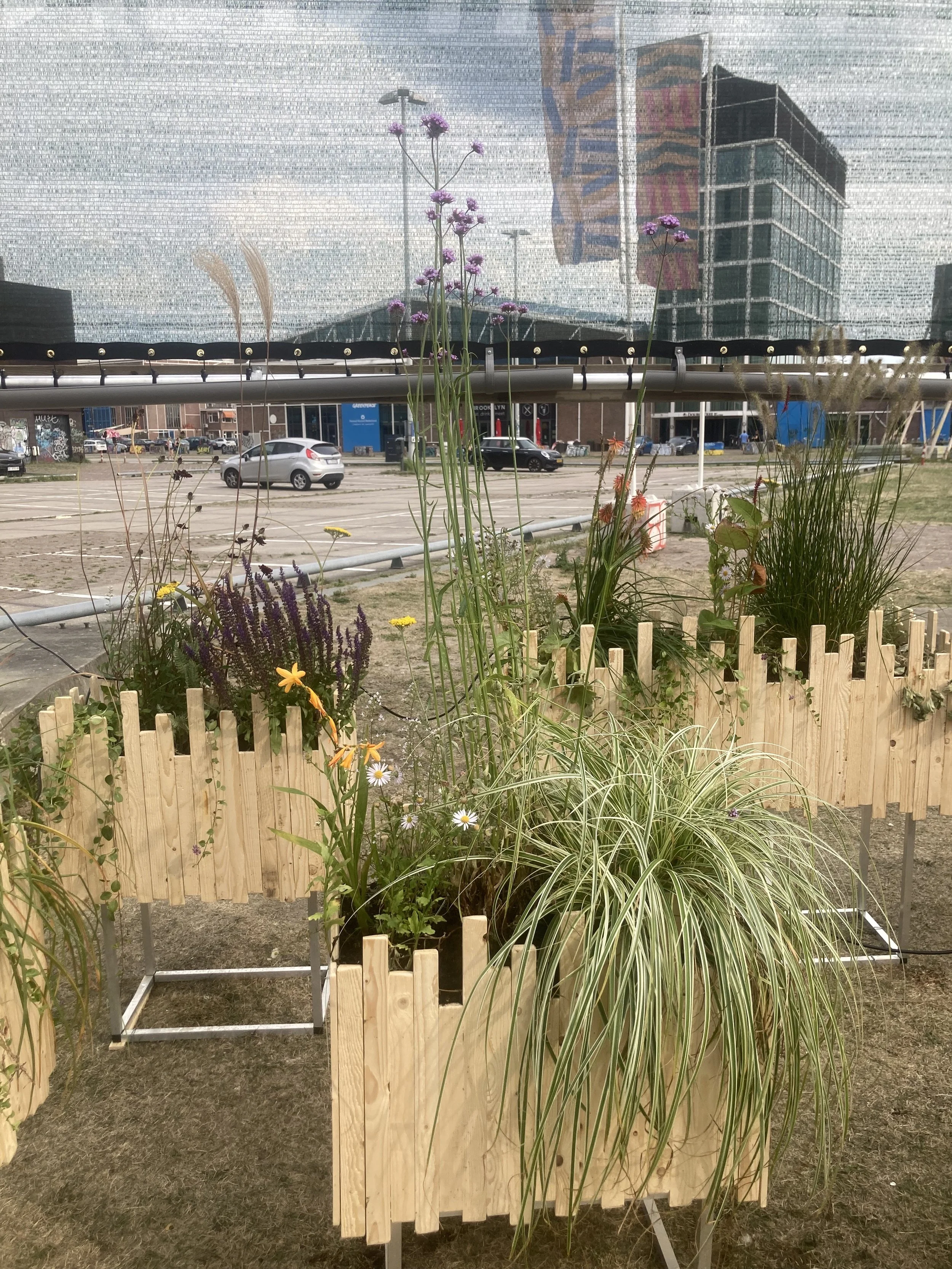 Kunstproject NDSM werf IMG_7003.jpeg