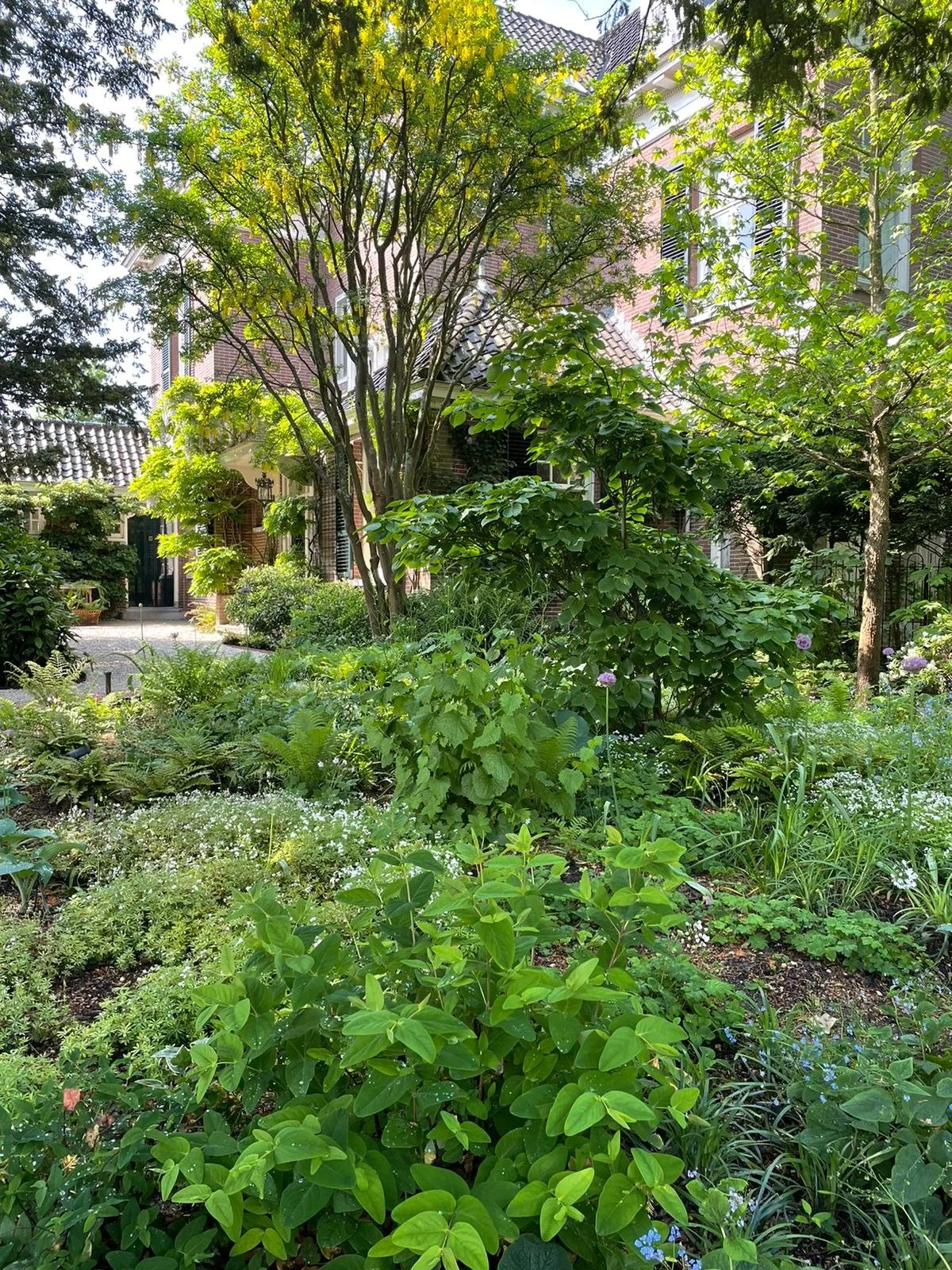 Sprookje in de schaduw