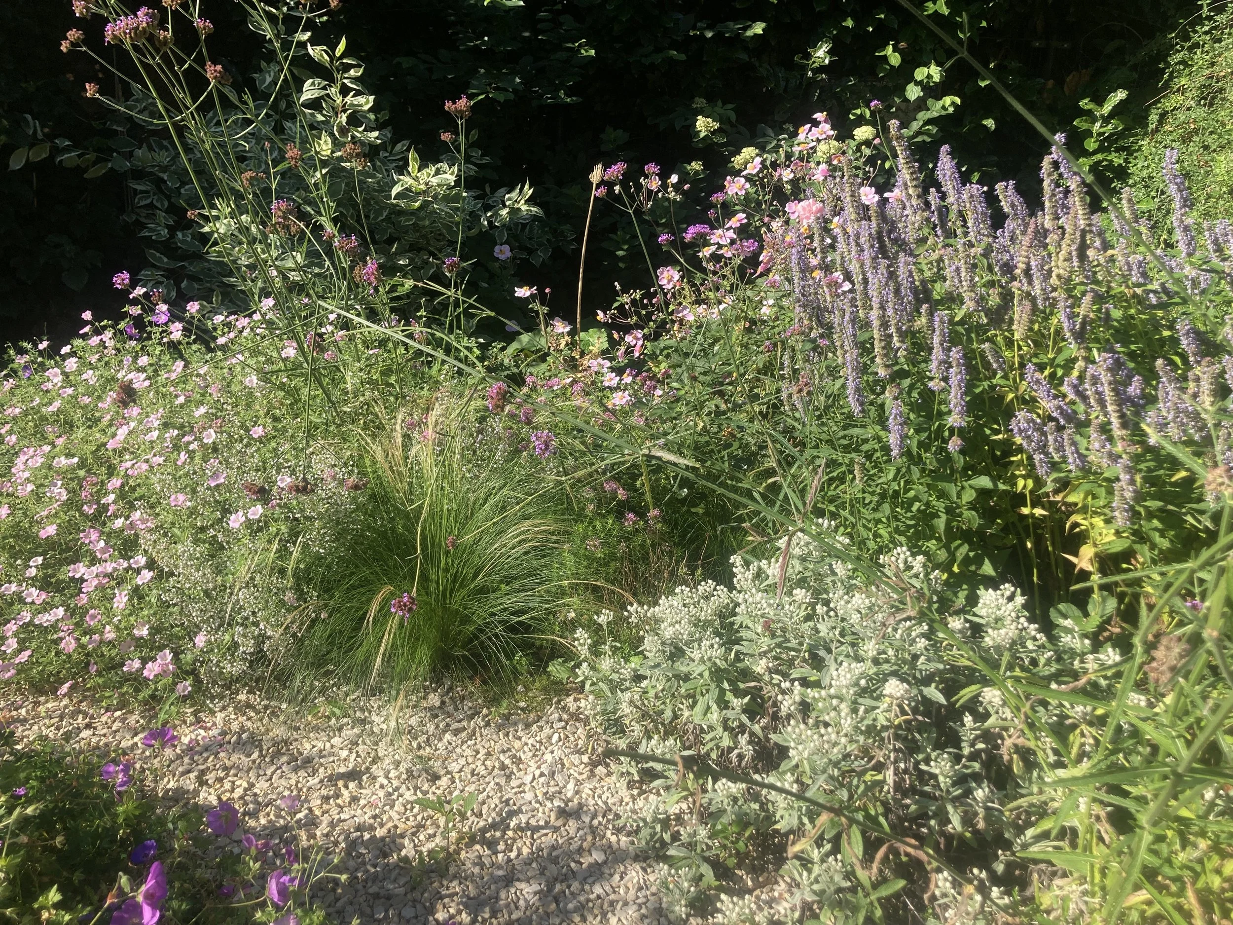 Romantische borders IMG_6901.jpeg