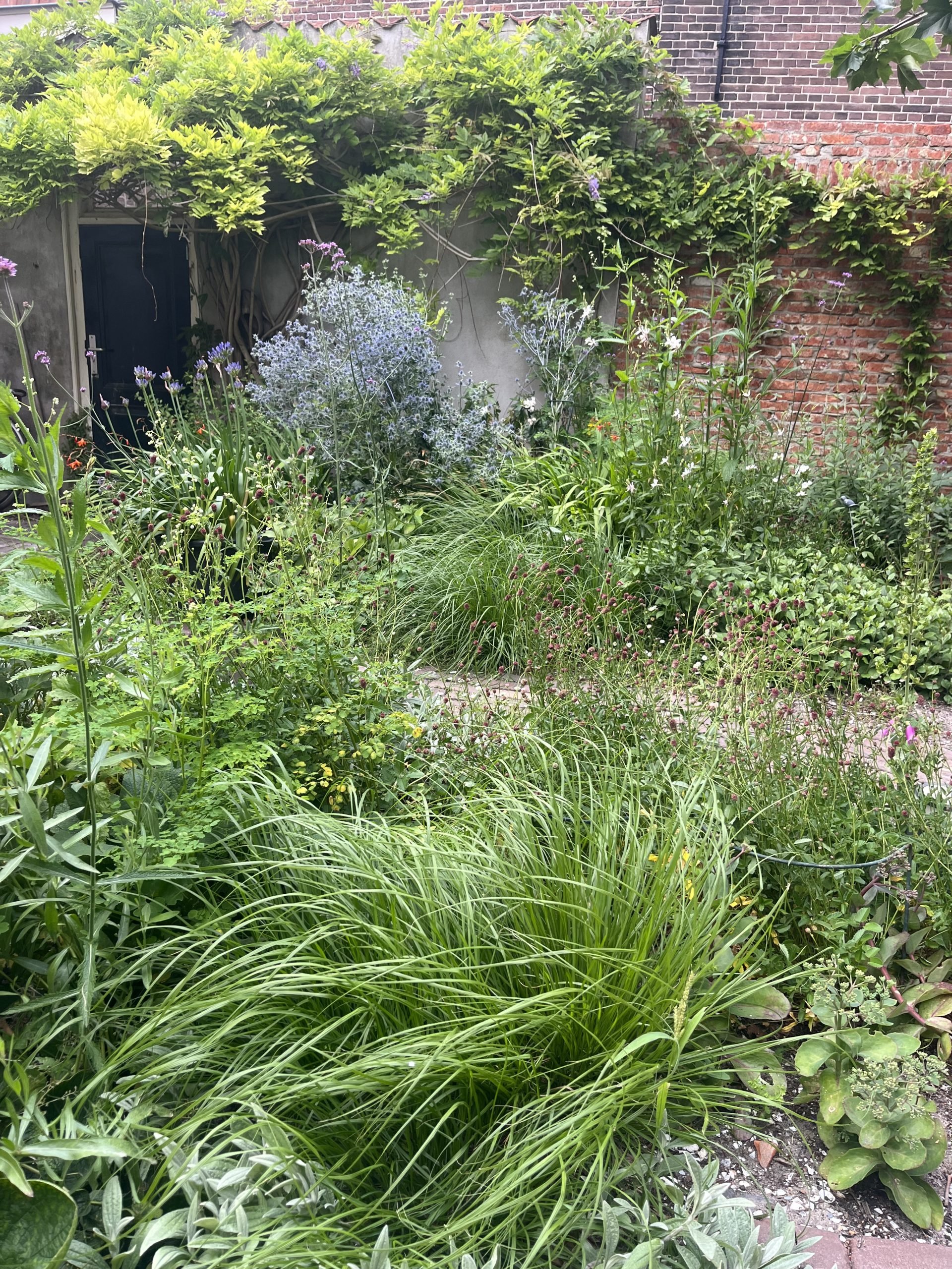 Monumentale stadstuin IMG_1214-scaled.jpeg