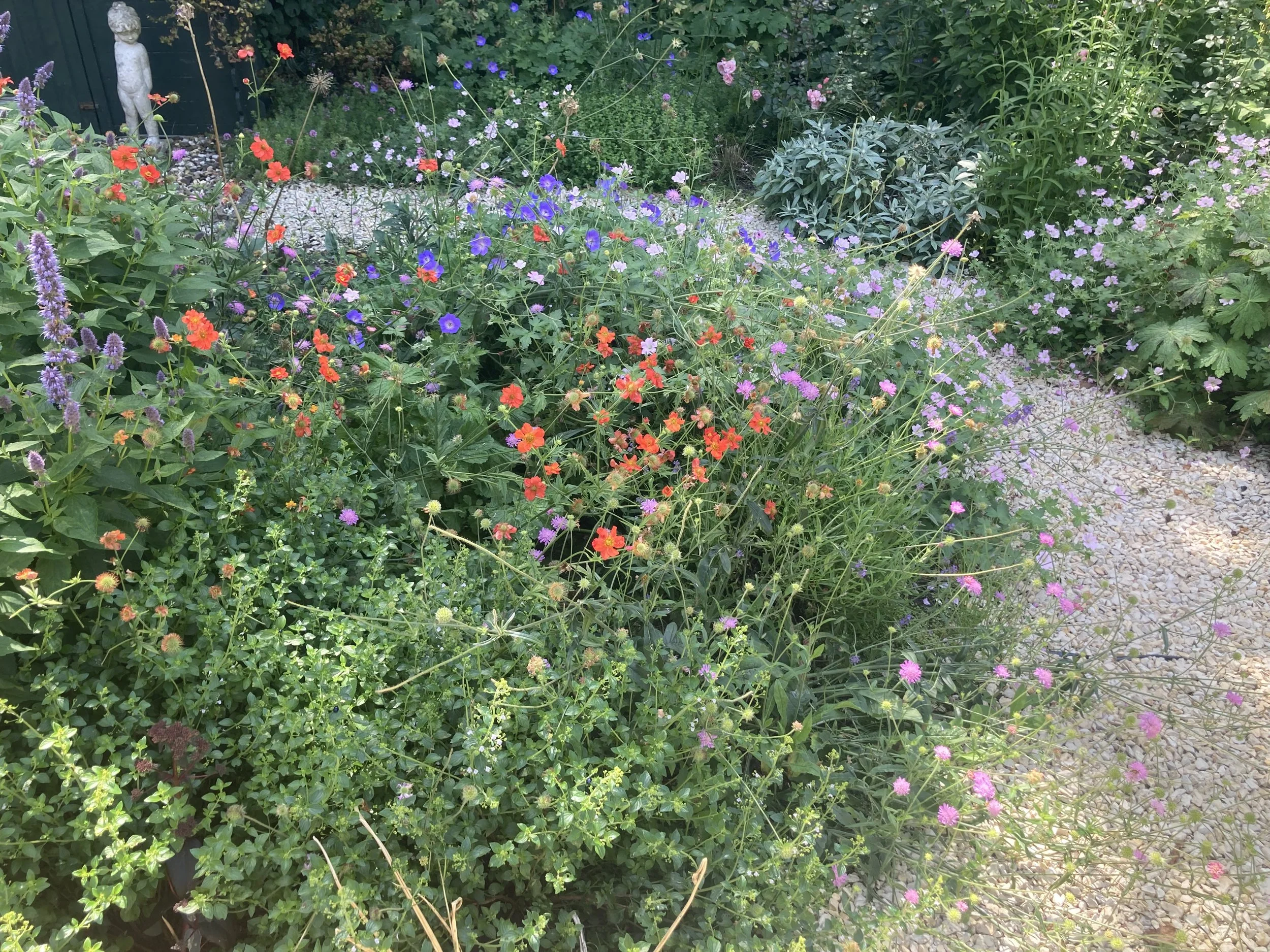 Romantische borders IMG_2566.jpeg