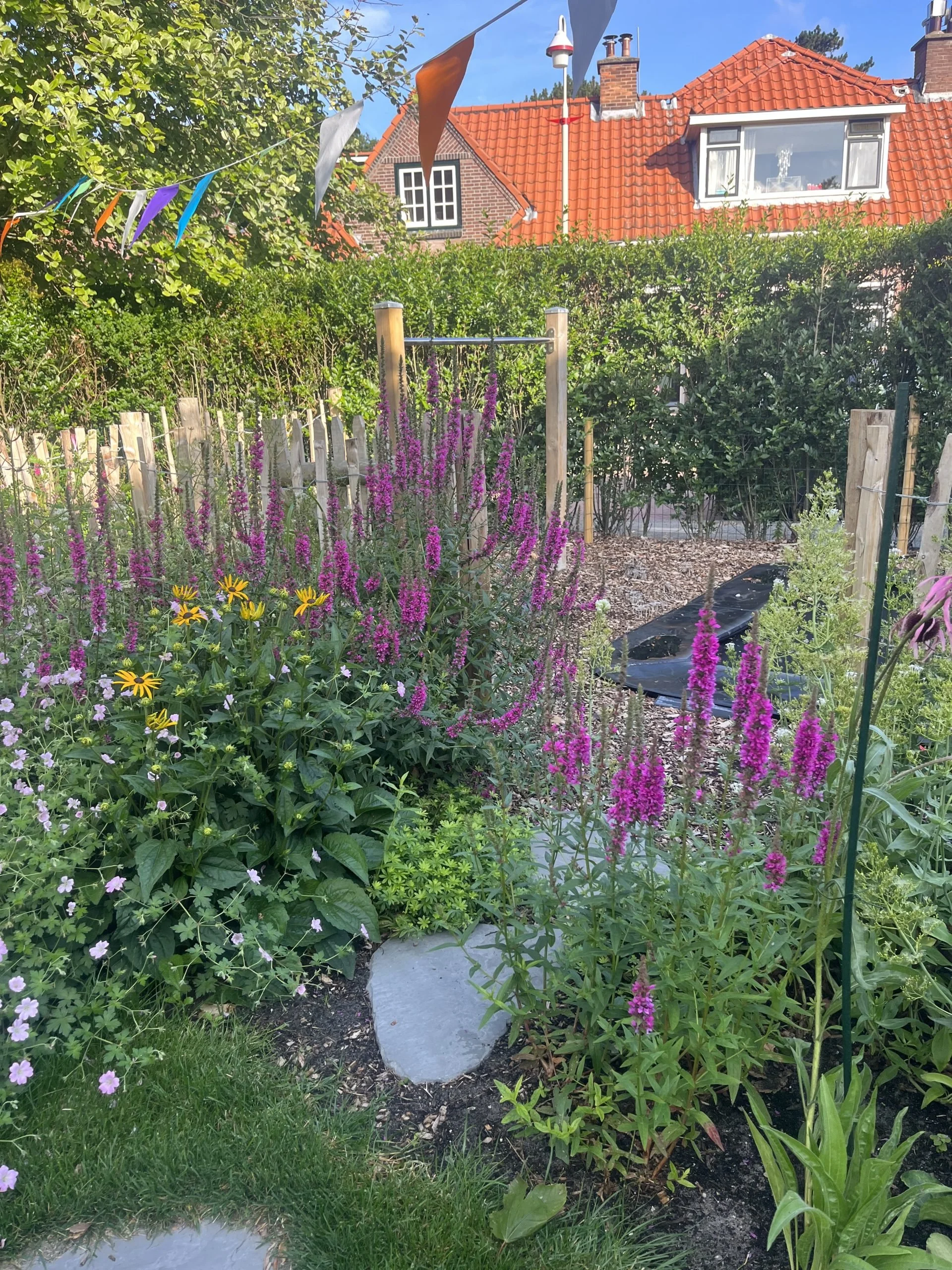 Kleurrijke familietuinIMG_1485-scaled.jpeg